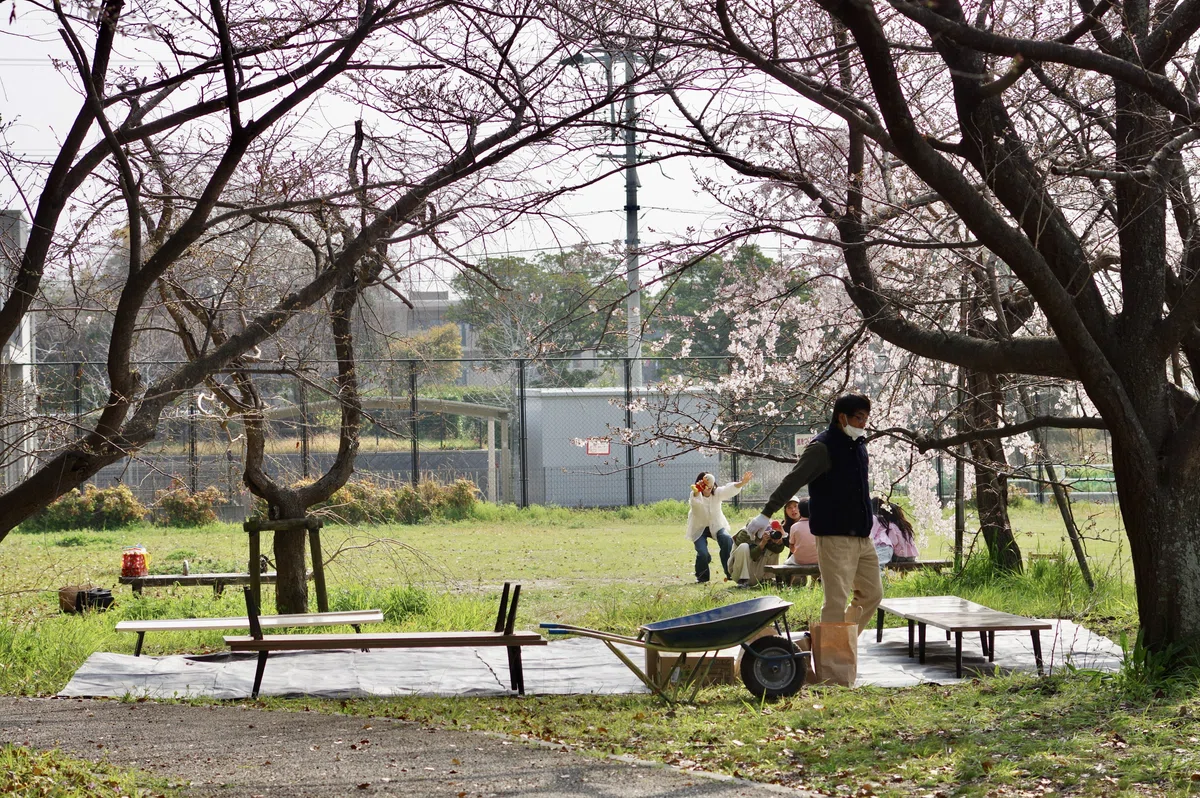 焦らすソメイヨシノ🌸PENTAX K-3と|ひさし