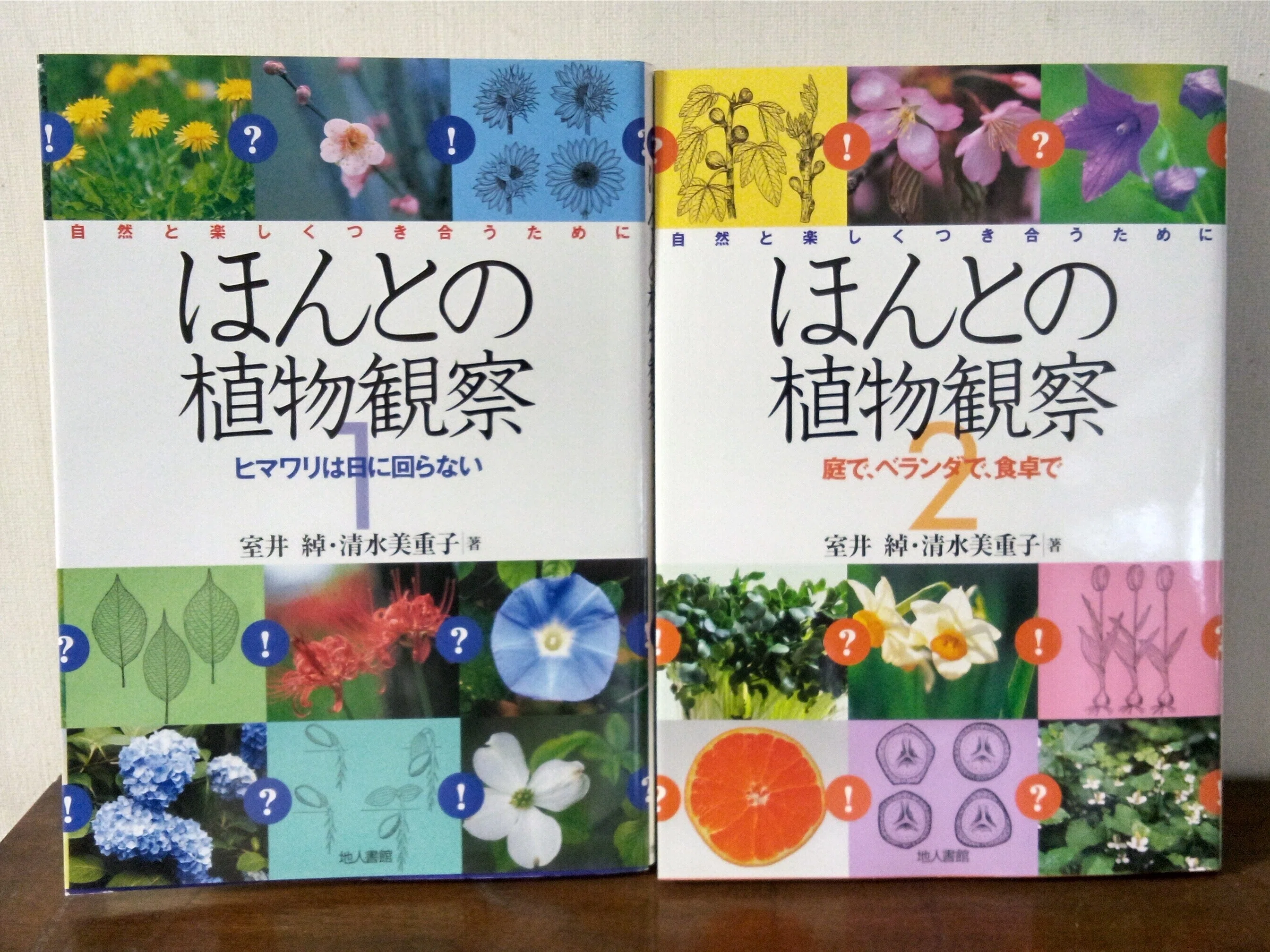 New Eyes for Plants 植物観察の本 出版物のご紹介『ほんとの植物観察1 ヒマワリは日に回らない』｜地人