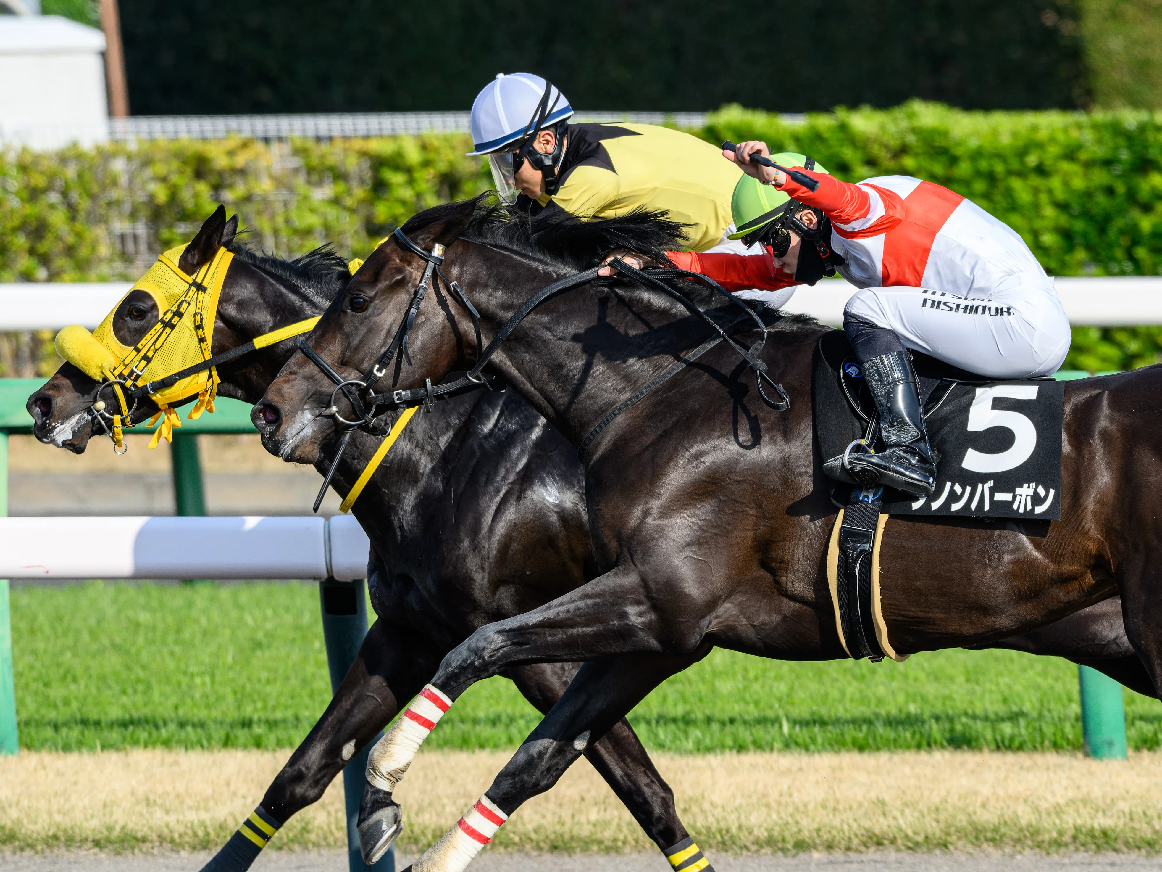 60 桜を背負って春の競馬撮影｜NIKKOR Z 180-600mm f/5.6-6.3 VR｜ユウキ