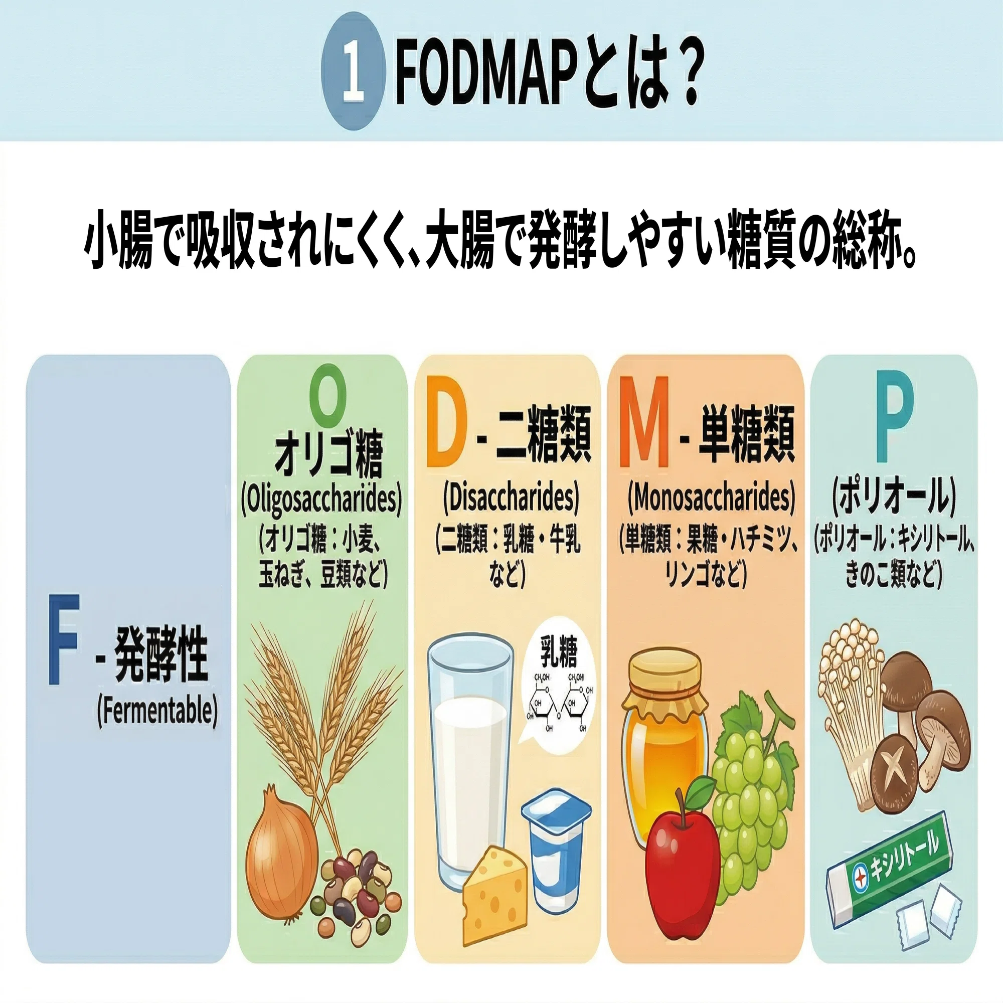 専門医が解説】「腸活」の正解は一つじゃない。あなたのお腹に合わせた