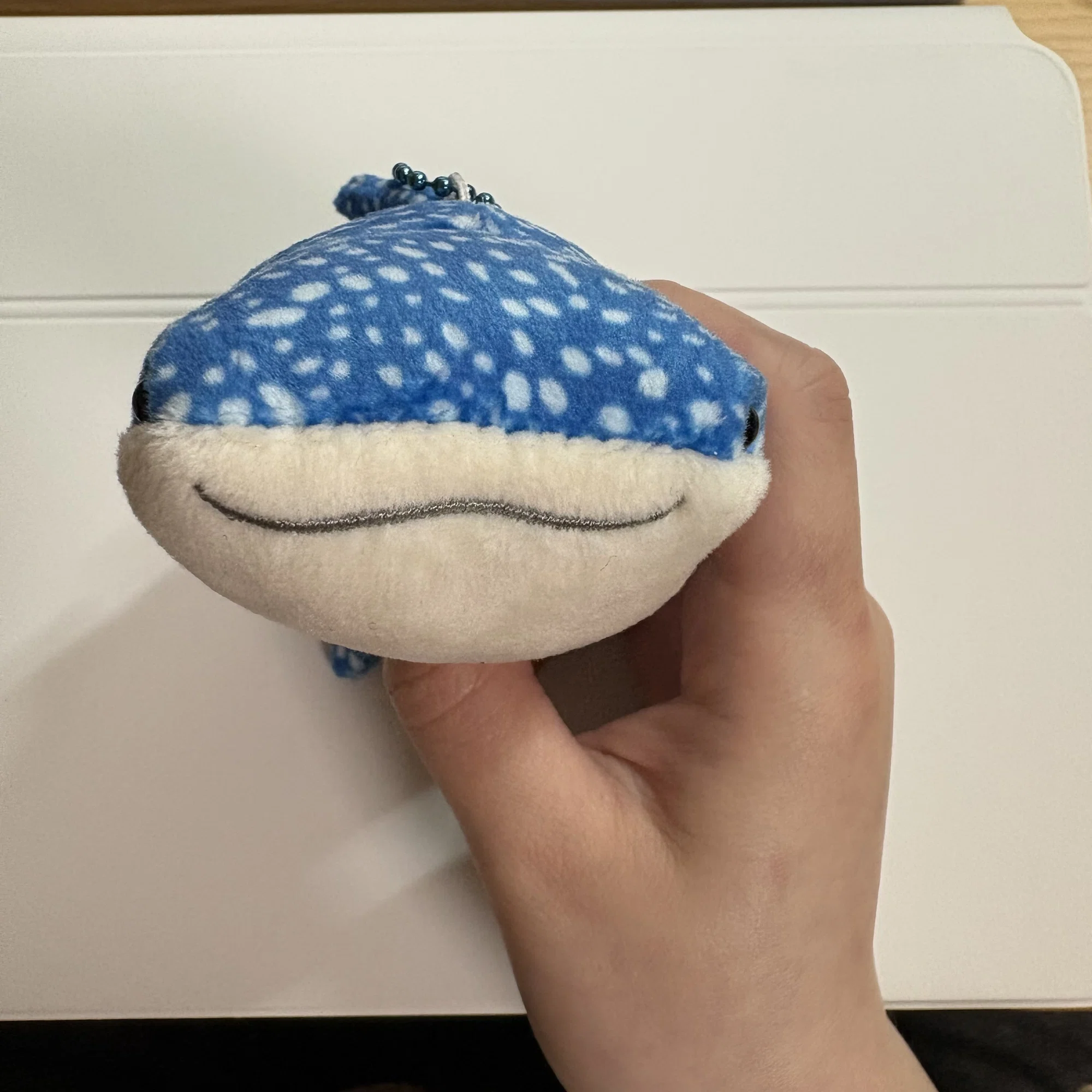 Unboxing Review of the Cute, Cute Plushie ~Shark~｜ひのもと???
