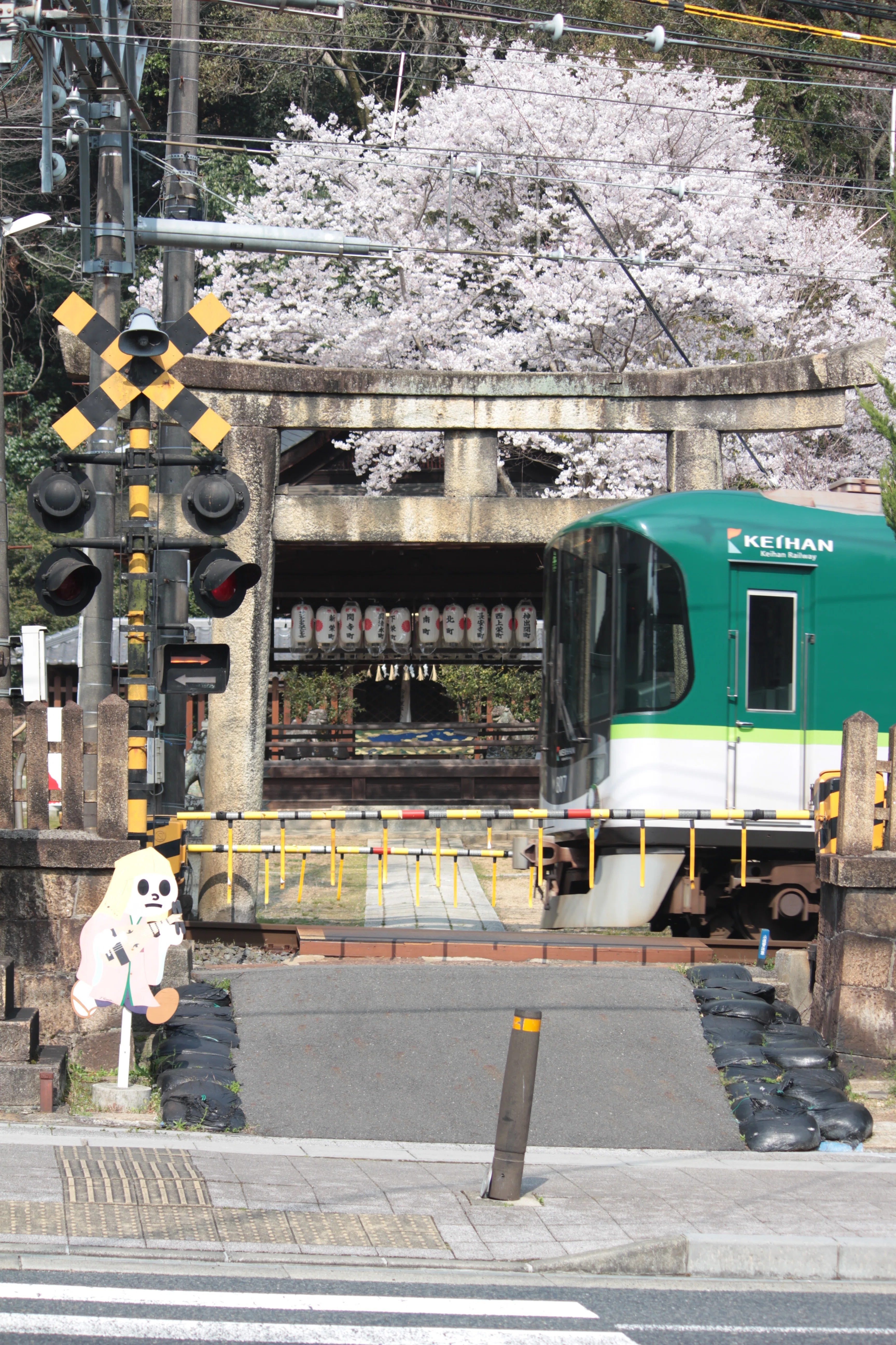 色々ありすぎ！？】桜と京阪を狙いに行った話 Day 1｜モッツァレラ