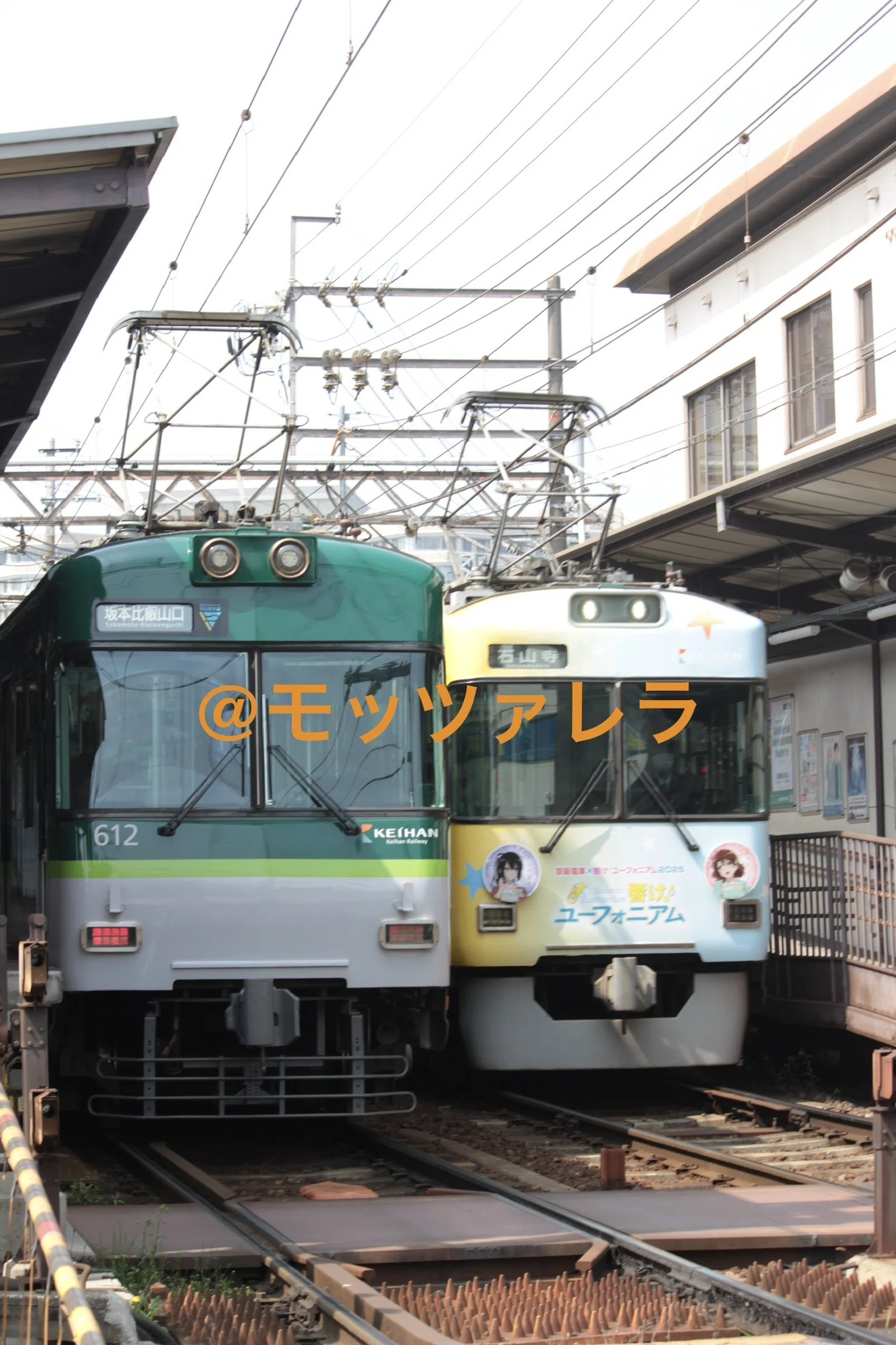 色々ありすぎ！？】桜と京阪を狙いに行った話 Day 1｜モッツァレラ