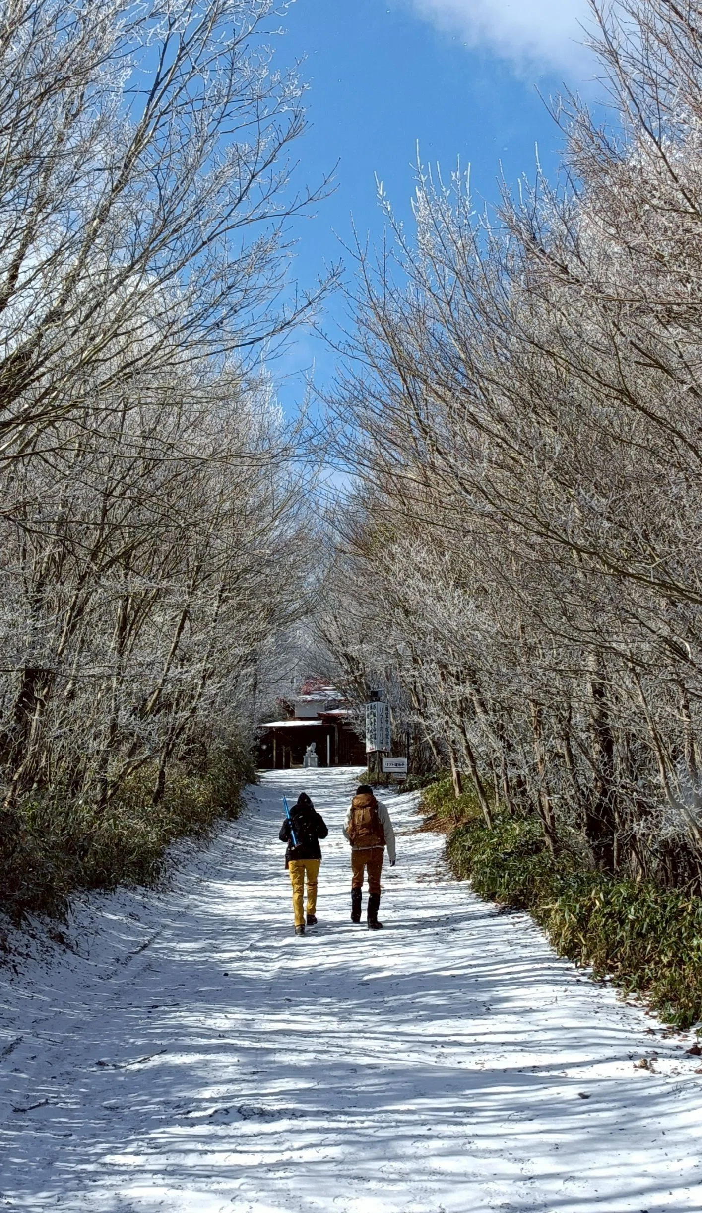アラフィフ、いやいや石鎚山へ （まさかの雪山デビュー）｜emiha