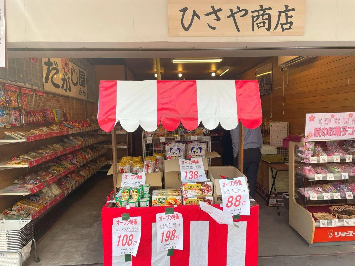 活動歴および当時の関連ビジュアル記録