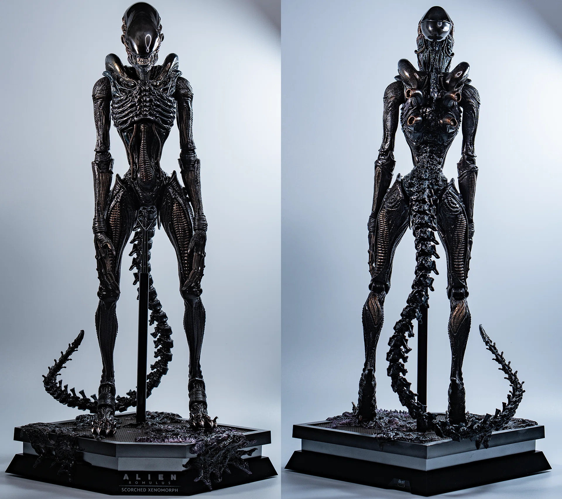 レビュー】Hot Toys スコーチド・ゼノモーフ from 『エイリアン