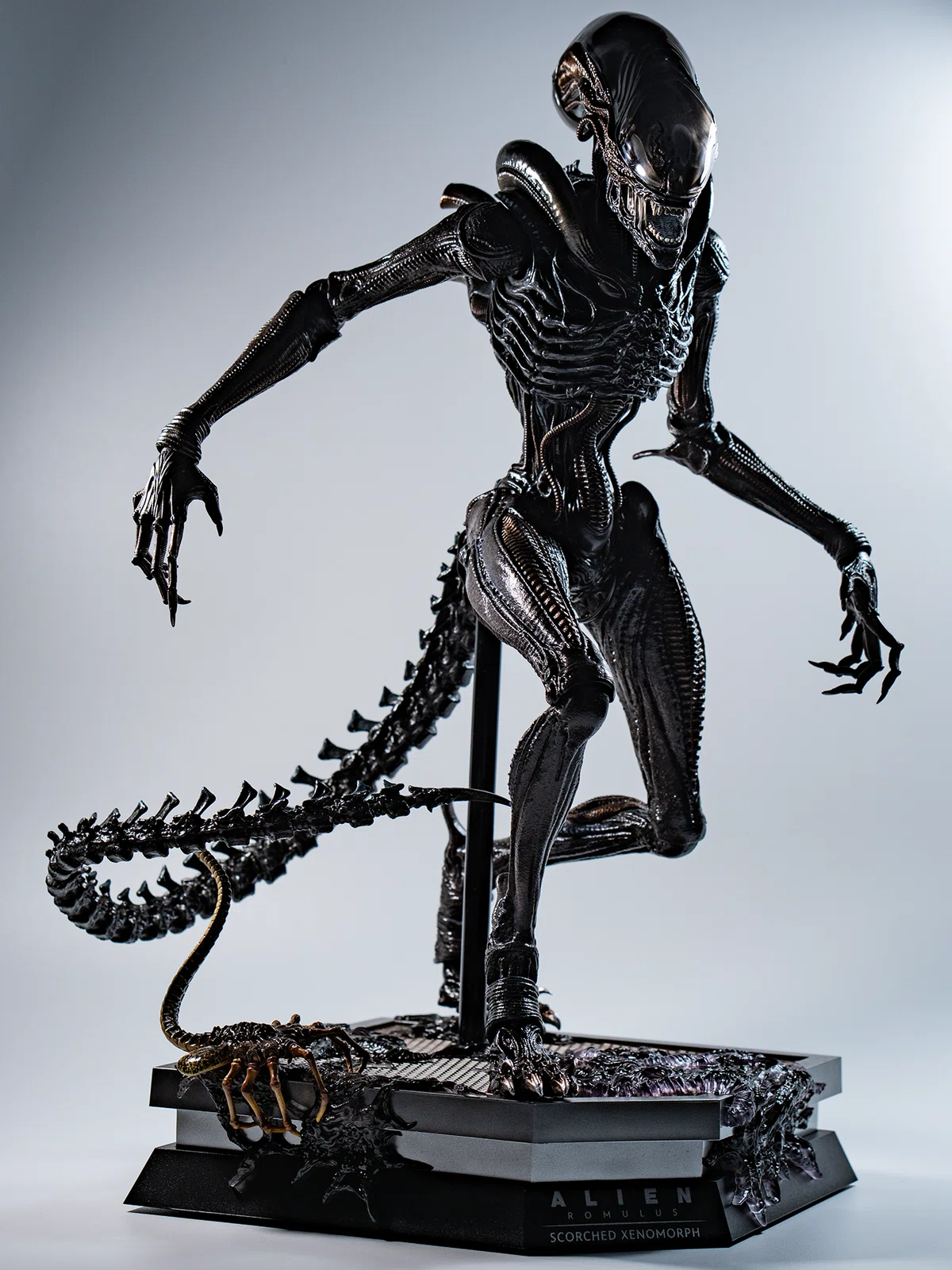 レビュー】Hot Toys スコーチド・ゼノモーフ from 『エイリアン
