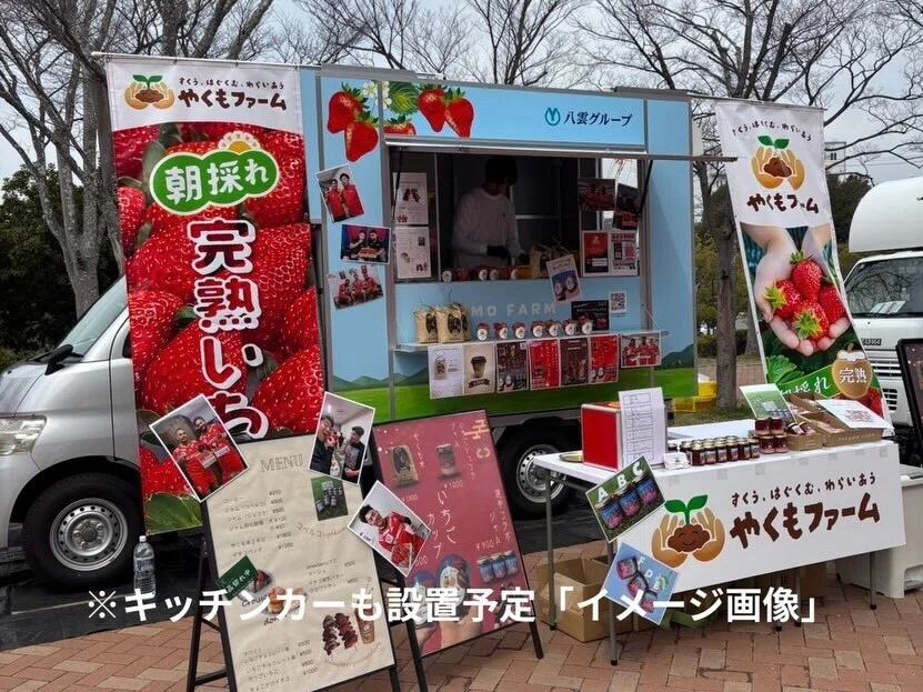 🍓 Strawberry picking: It's not just about 'eating'｜やくも