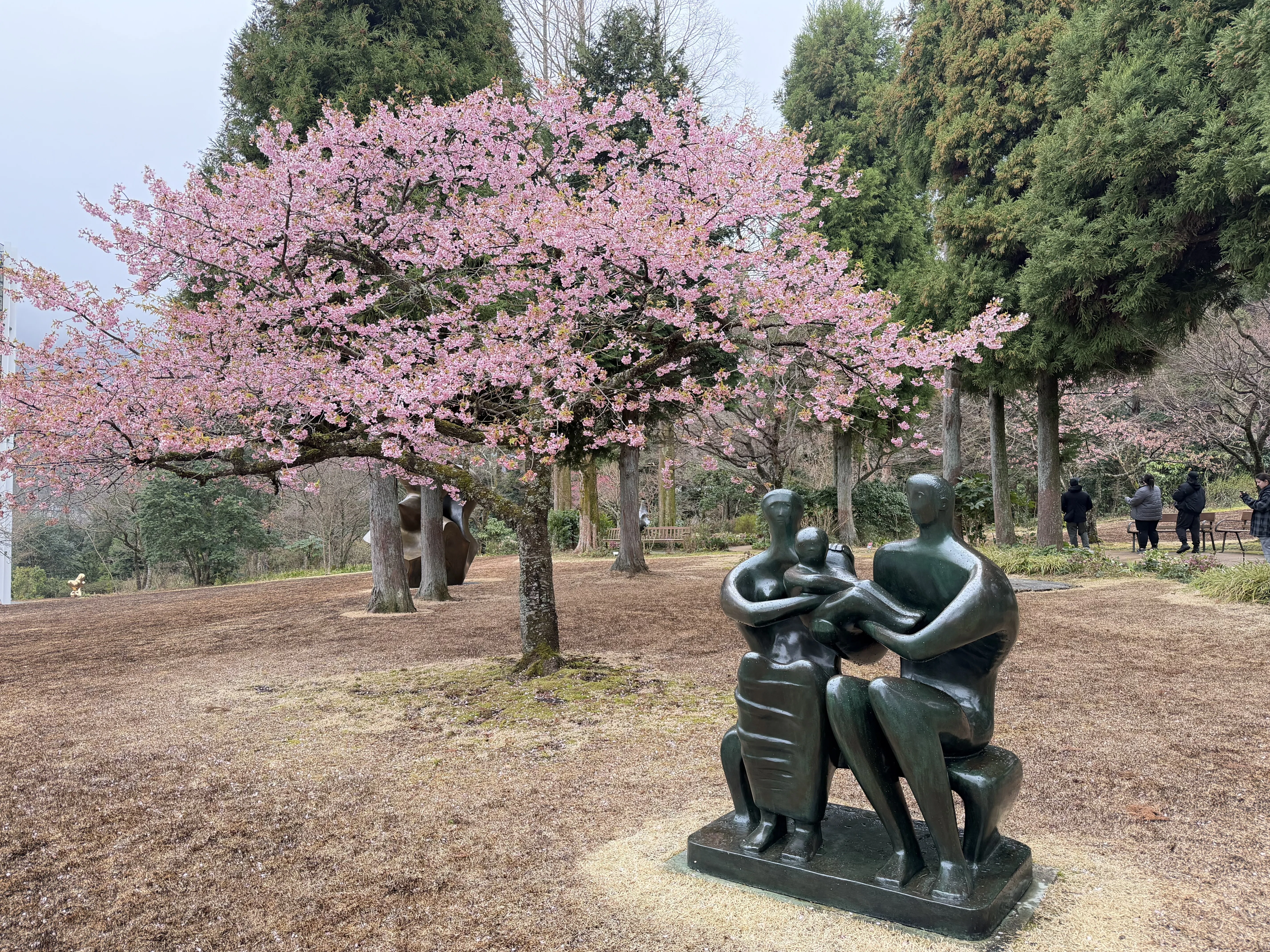箱根彫刻の森美術館｜村木藤志郎