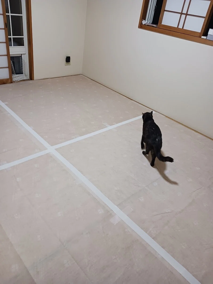 Community Cats 11 | Preparing Pes's House Cat Training Room｜takae
