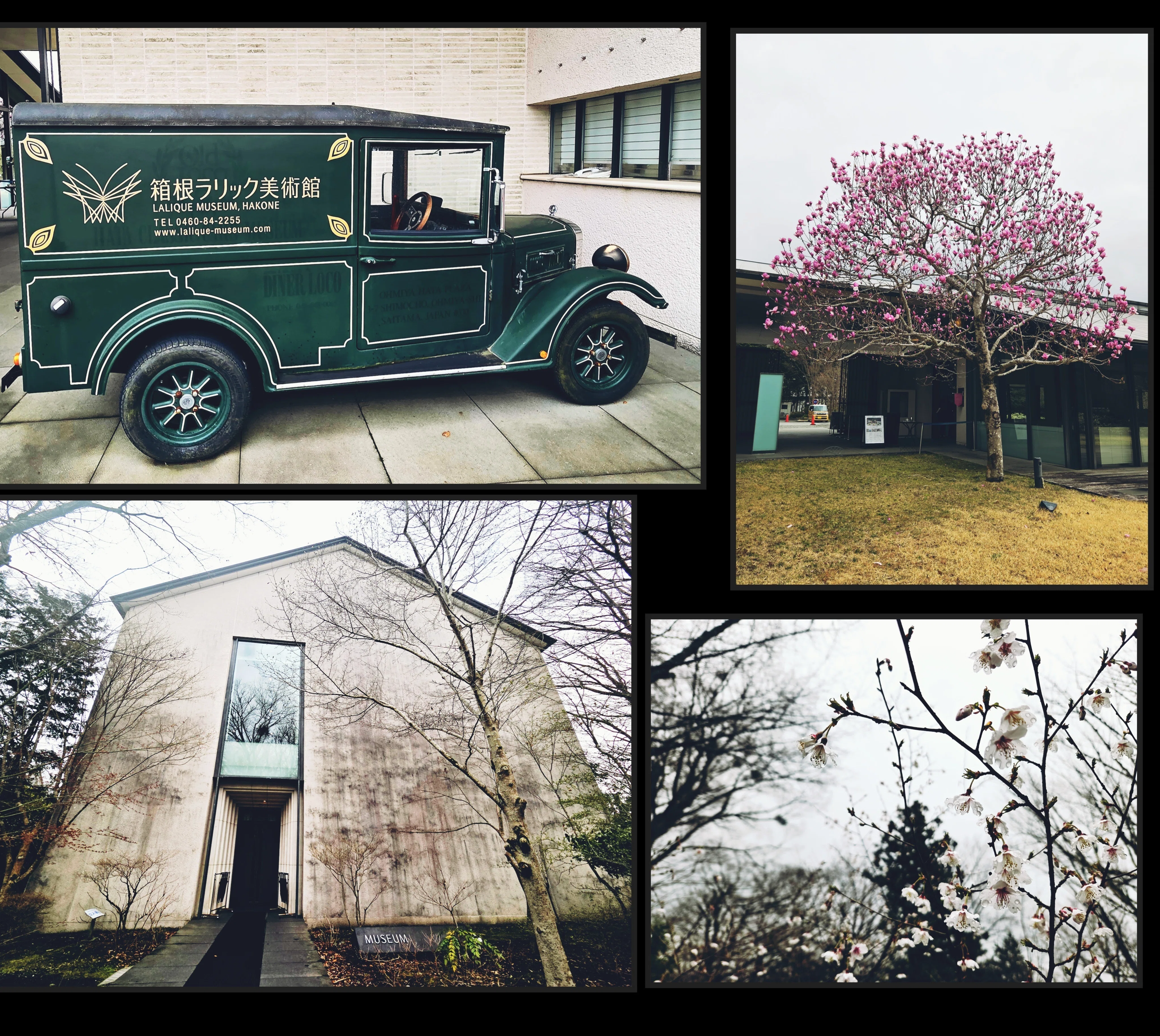 A Day Trip to Hakone: The Lalique Museum Edition (Touching Upon
