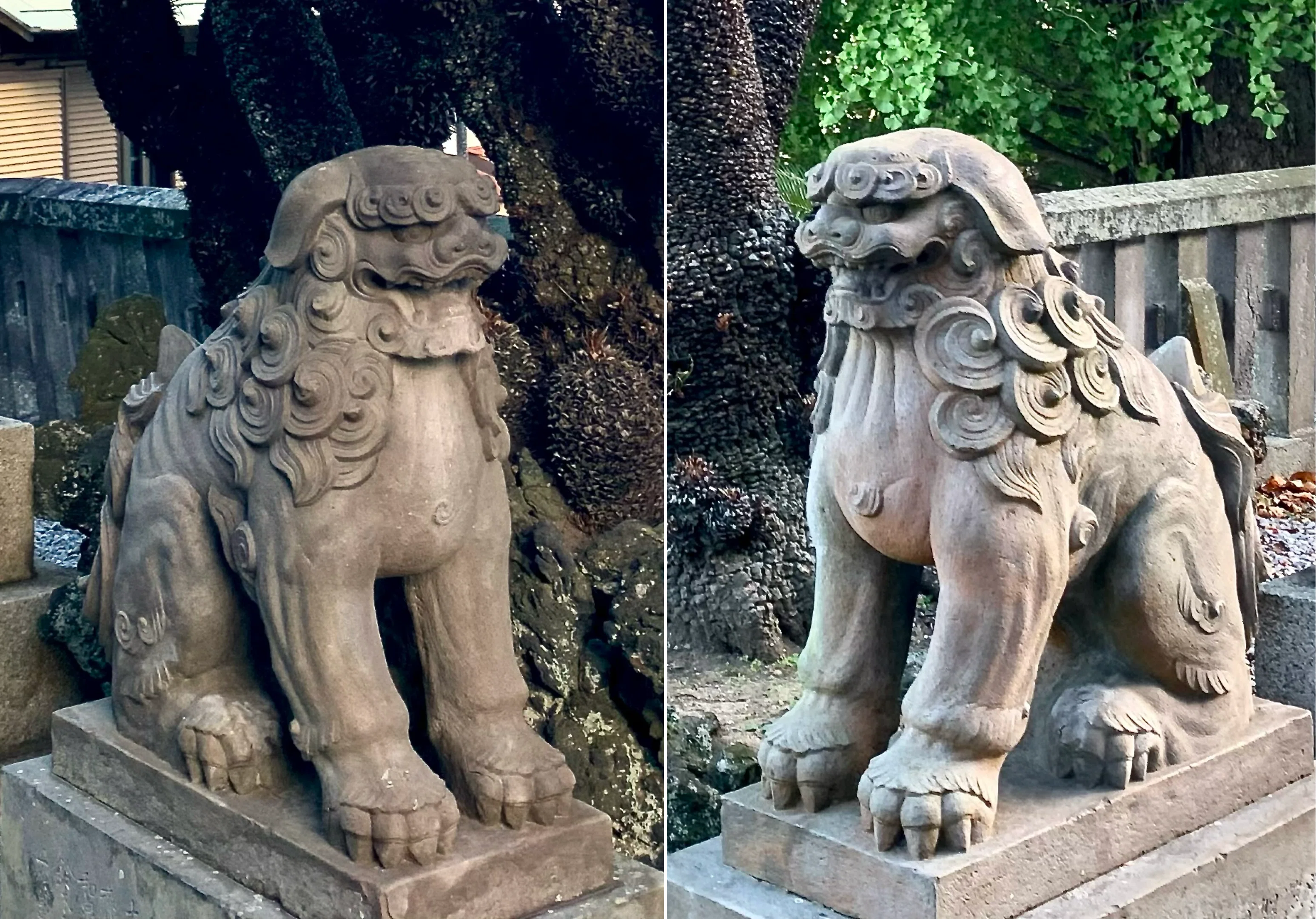 阿吽（あうん）」って何？｜神社の狛犬や仁王像について｜ほぼ63世