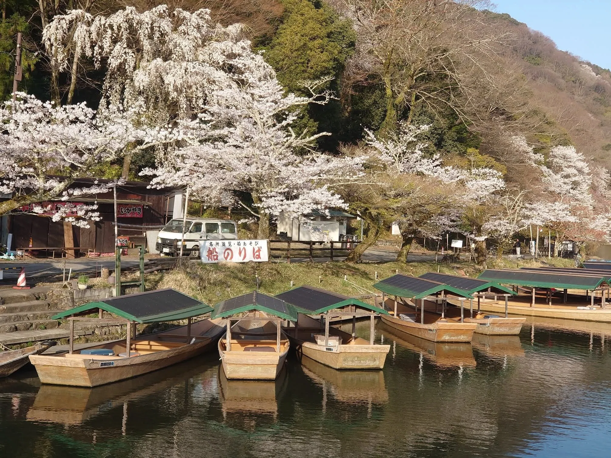 世界で一番嵐山を撮り続けた男の満開桜画像。てんこ盛り！｜カトラス