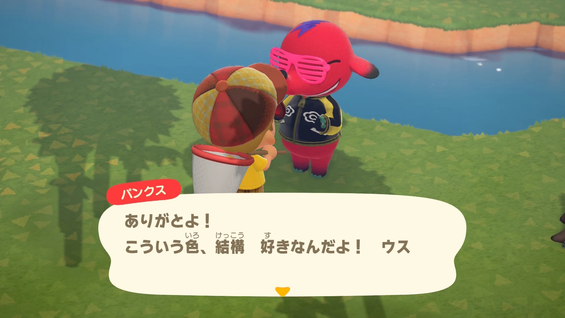 ボクが「ぽこあポケモン」よりも「あつまれどうぶつの森」を遊ぶ理由