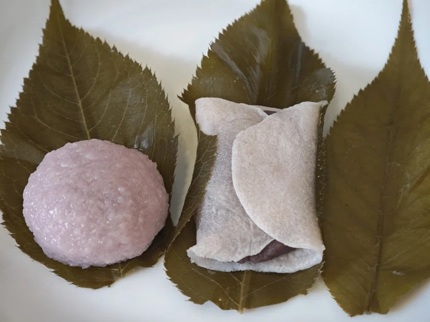 桜餅🌸｜百貫デブ