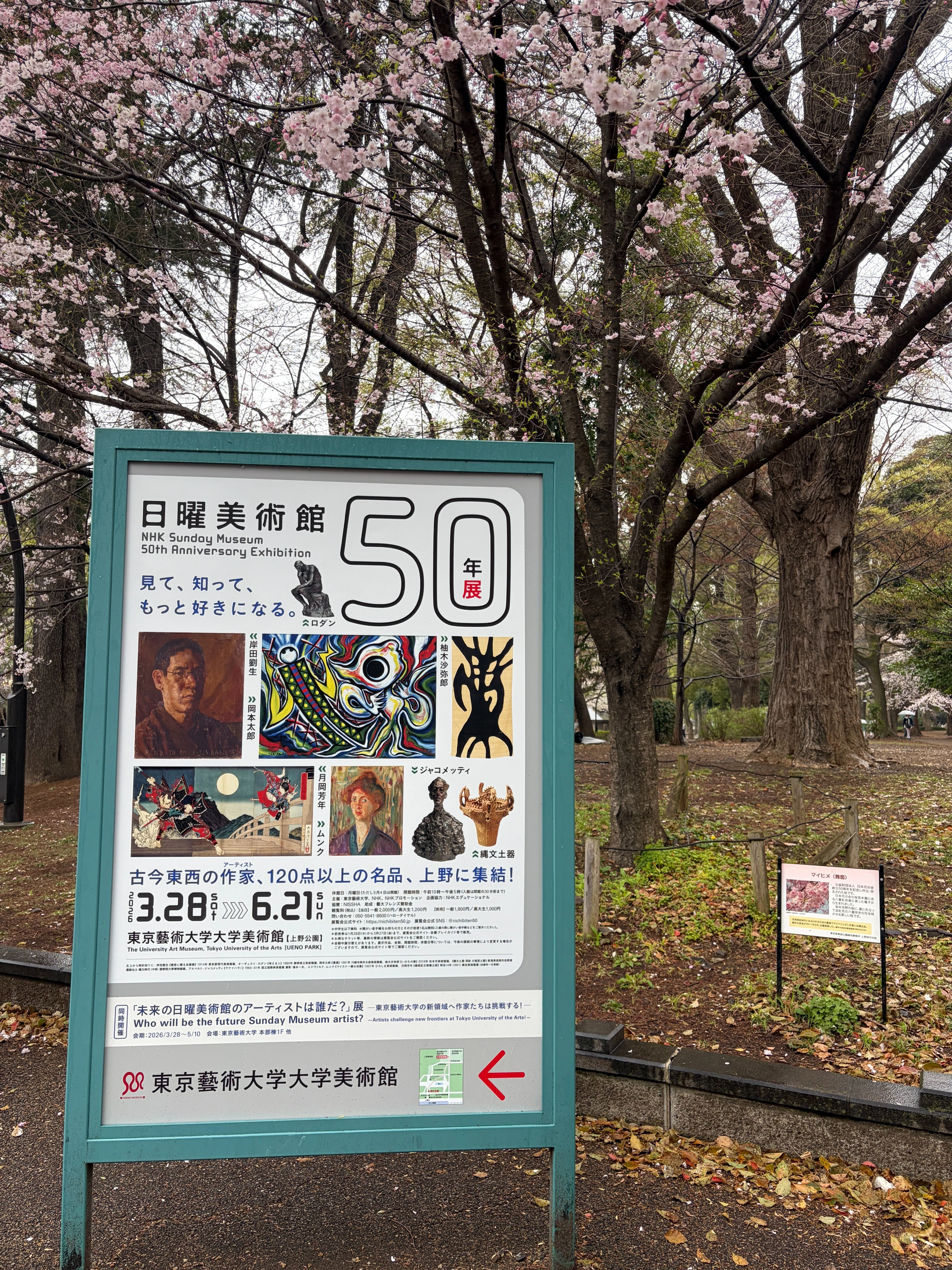 美は、語り継がれるたびに新しくなる｜日曜美術館50周年展｜大田勇希