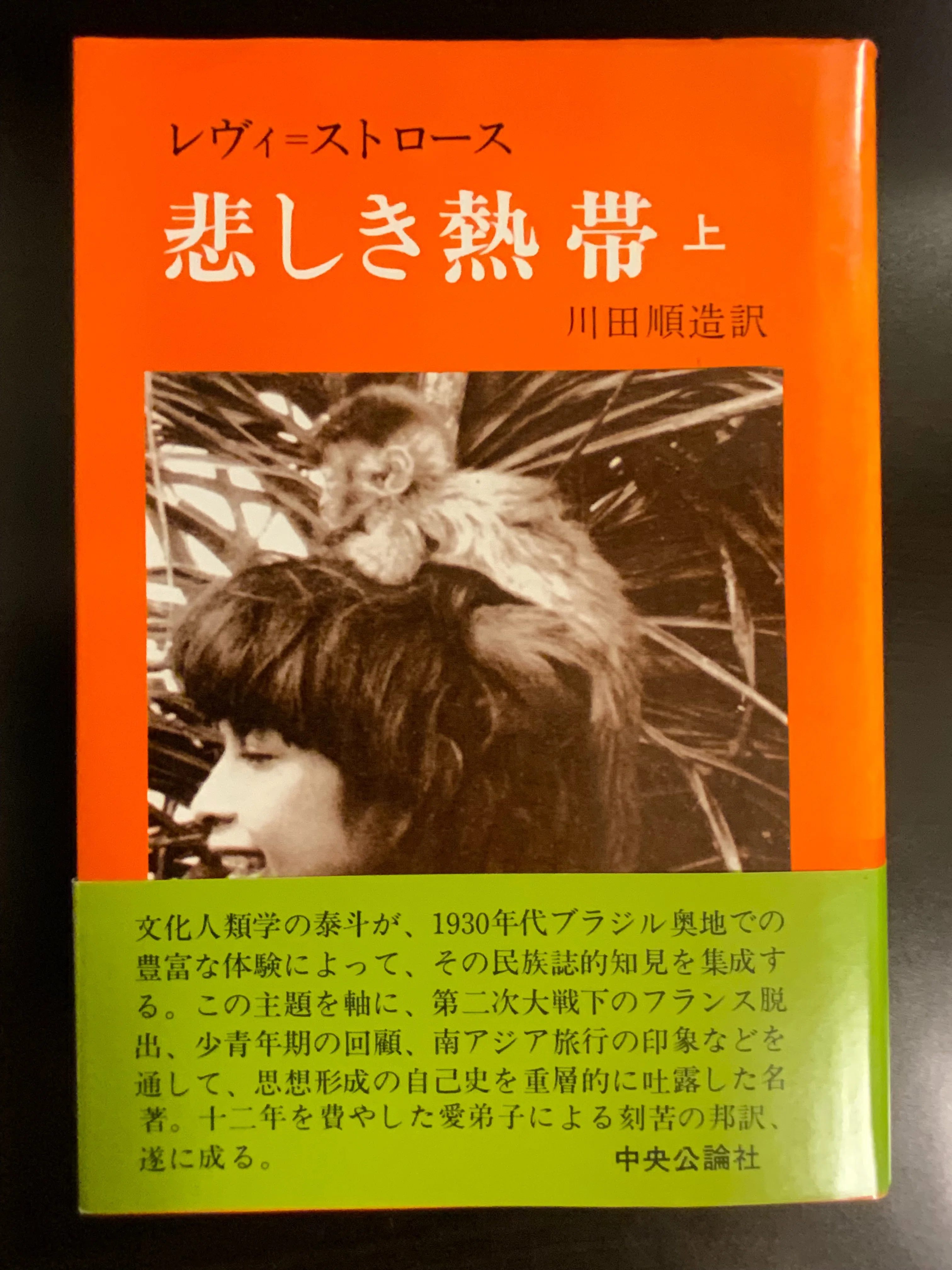 なぜ天候はこうも変わるのか？！前人未到の人類新世紀へ──レヴィ