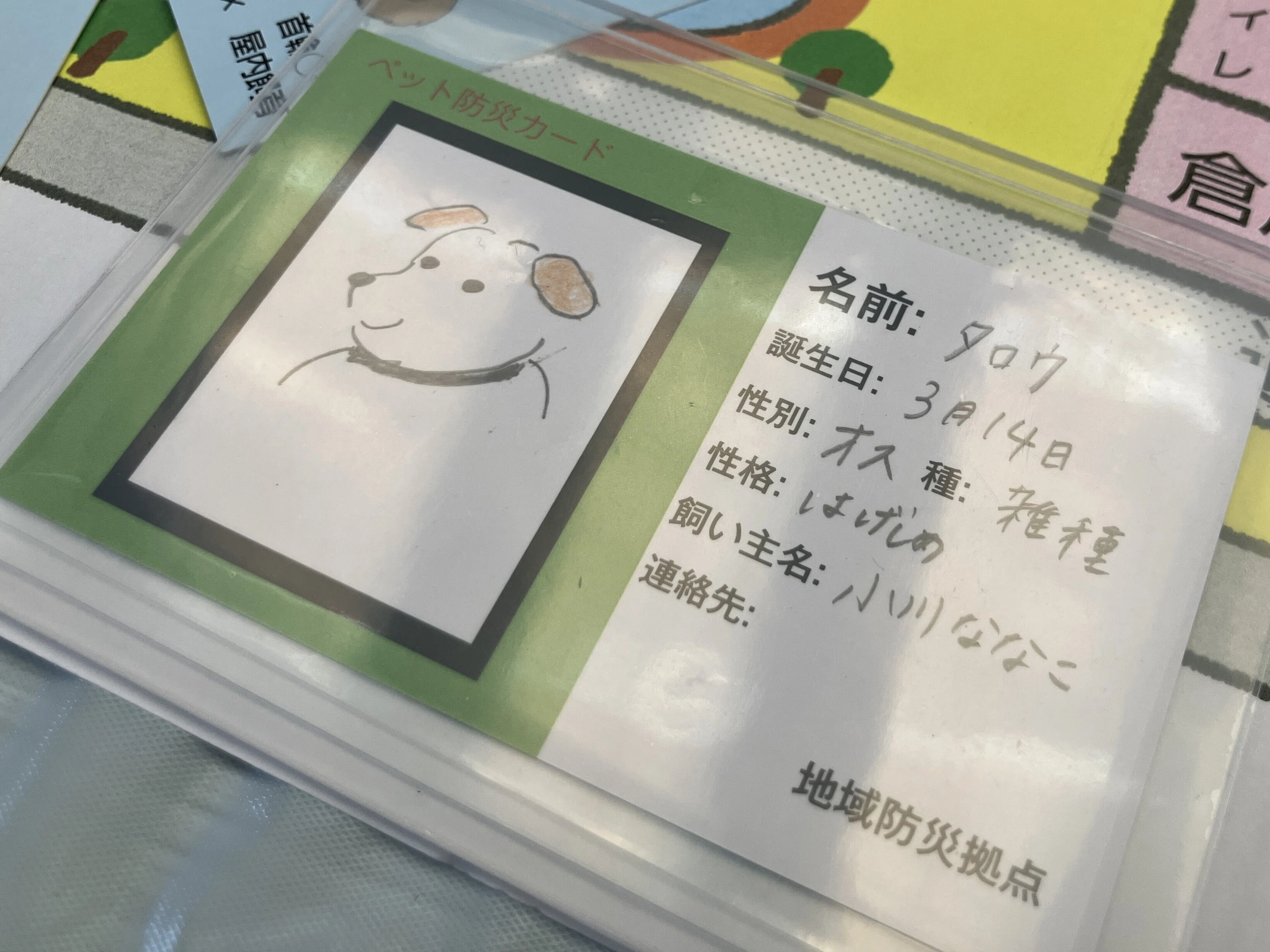 今からはじめる】ペット防災は特別なことじゃない｜J:COM地域取材ノート