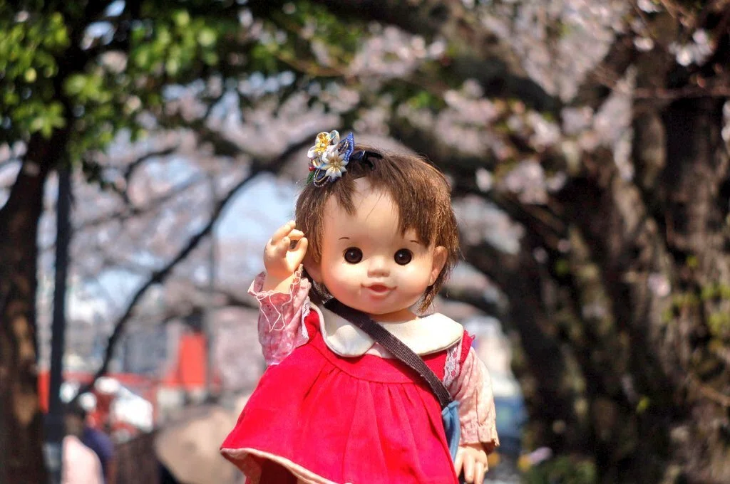 黄金町 大岡川 さくら並木 ぽぽちゃん オールドレンズ ズーム