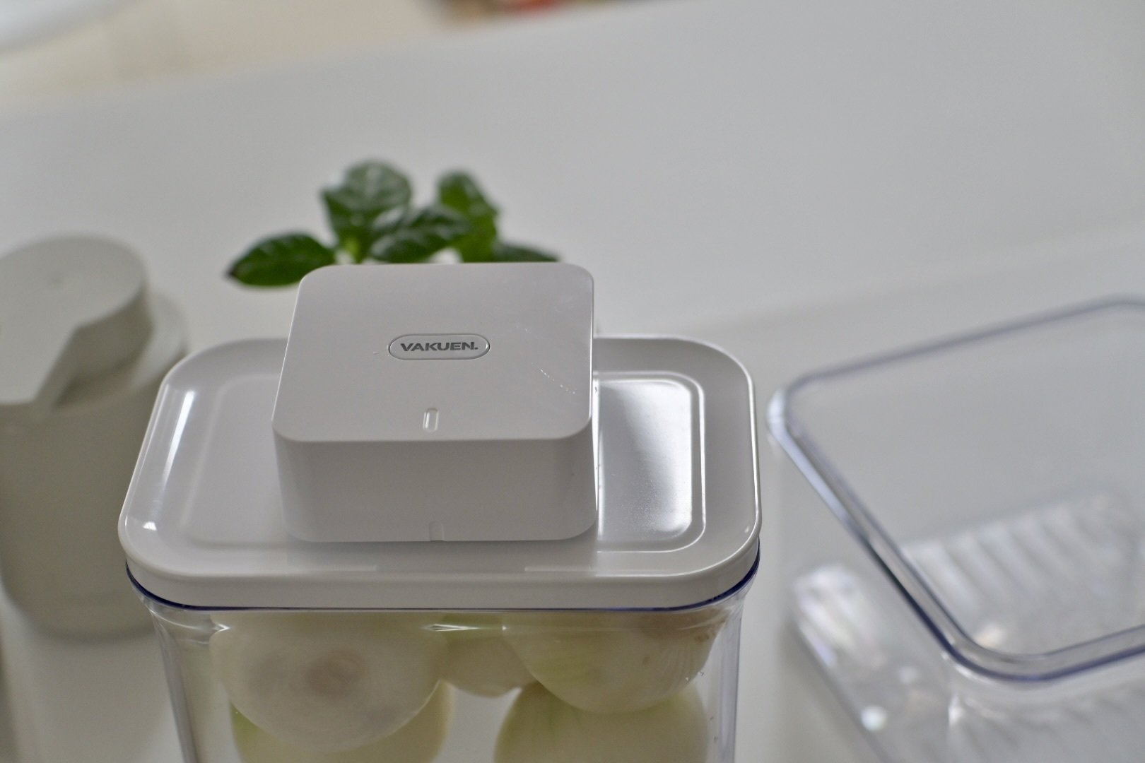 楽天で買ったVAKUENの真空保存容器｜ボタンひとつで野菜の鮮度が全然