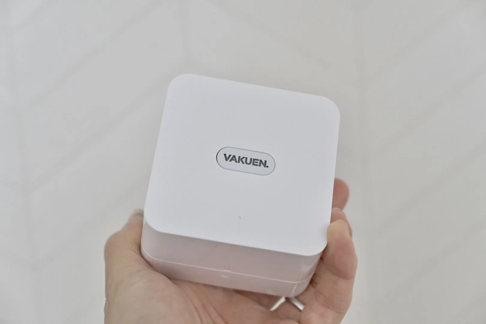 楽天で買ったVAKUENの真空保存容器｜ボタンひとつで野菜の鮮度が全然