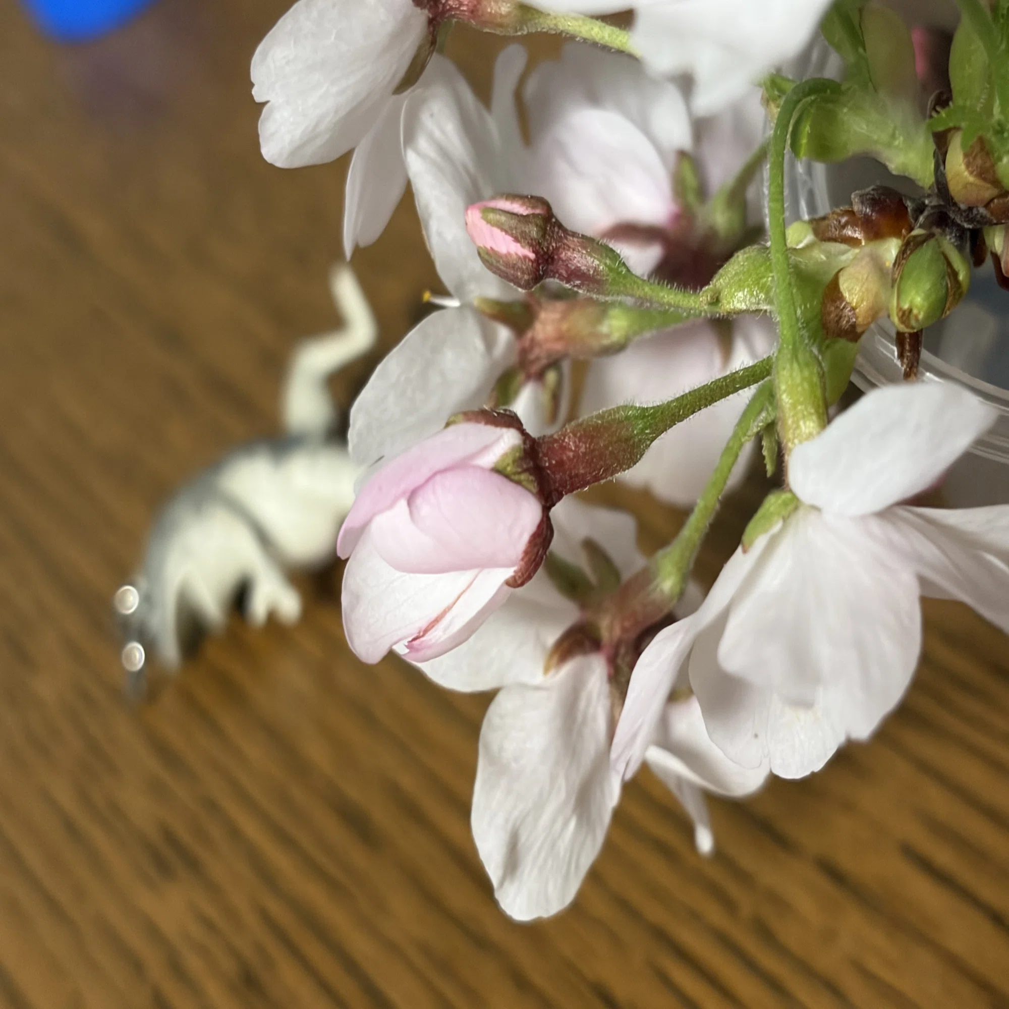 ☆白桜～sakura☆高FPSゲーミング】フォートナイト/Apex◎現品組み上げ 