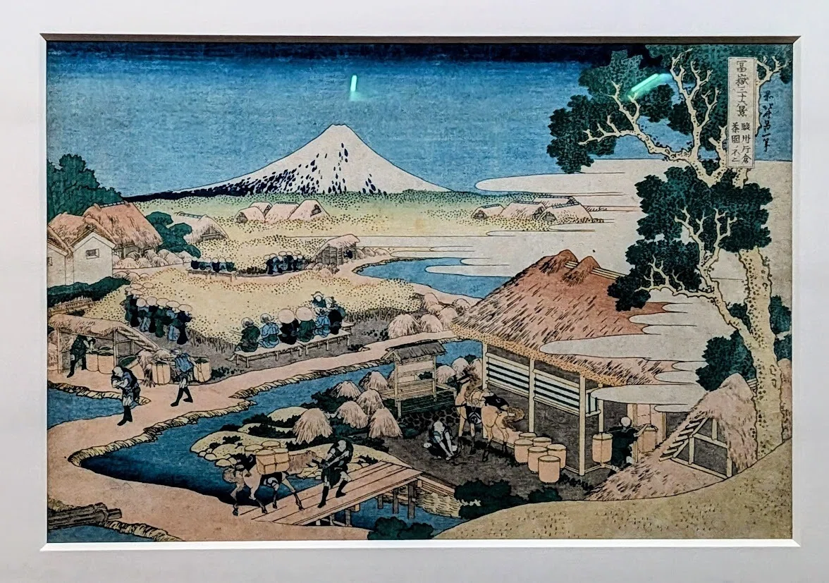 美術ド素人でも楽しめた『北斎展』｜まるがお