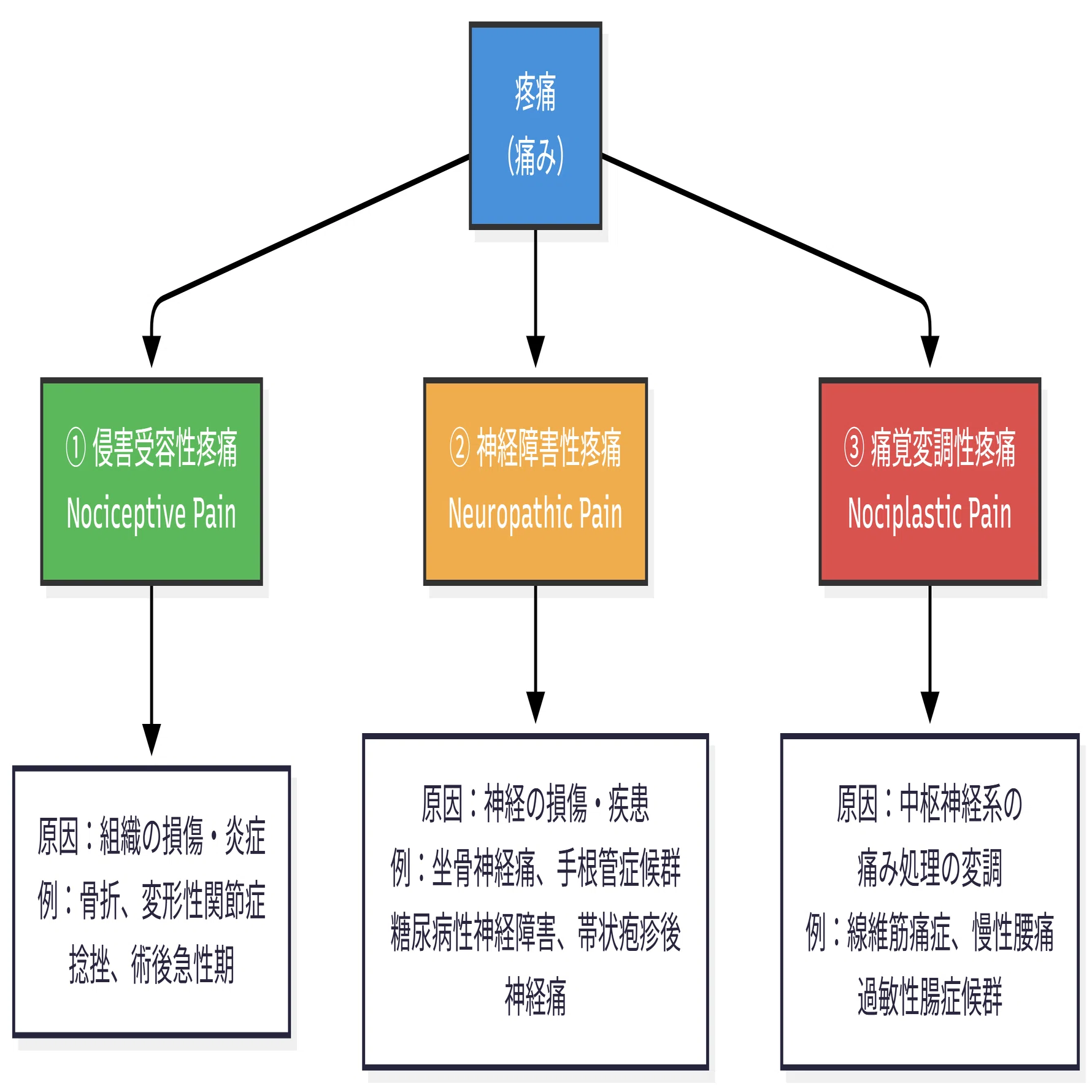 神経 障害 性 疼痛 原因