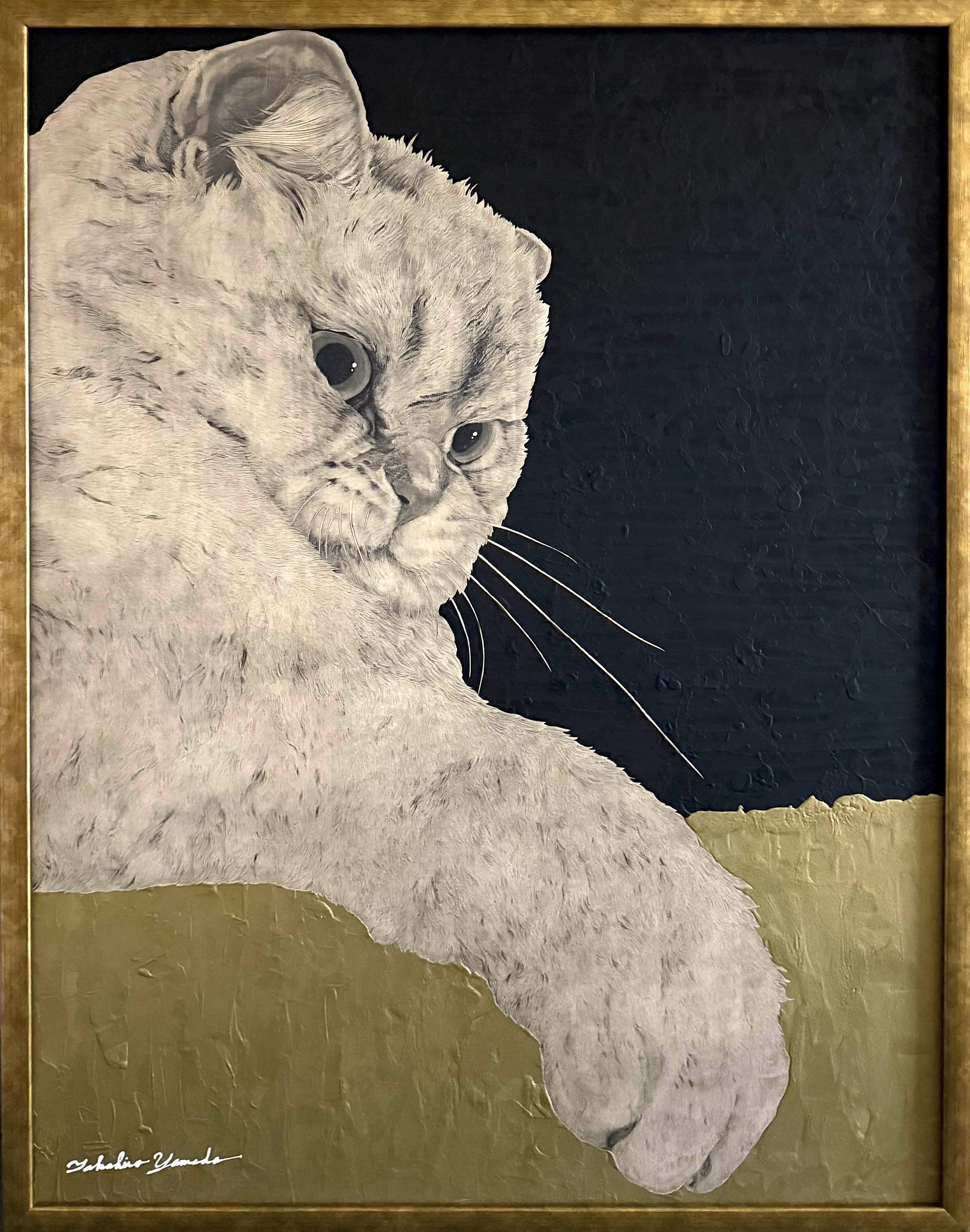 今週の猫】 Cat of the Week 2026/4/1｜山田貴裕