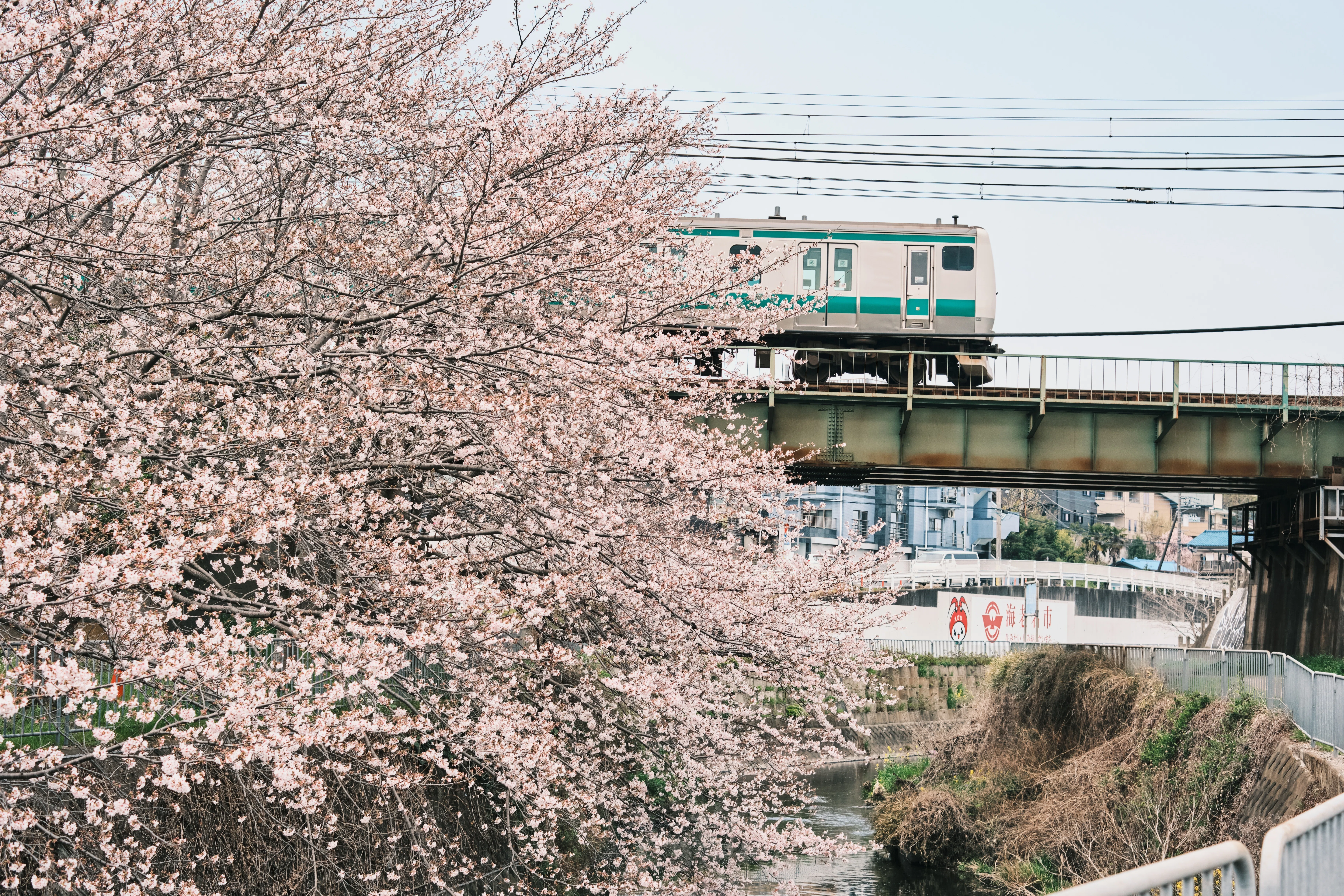 FUJIIFLMの神レンズで撮る桜｜kEigo
