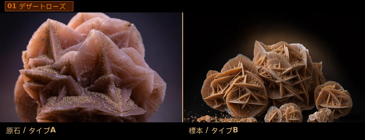 砂漠が咲かせた花——乾燥地帯の鉱石3選砂が花びらに変わるジプサム、重