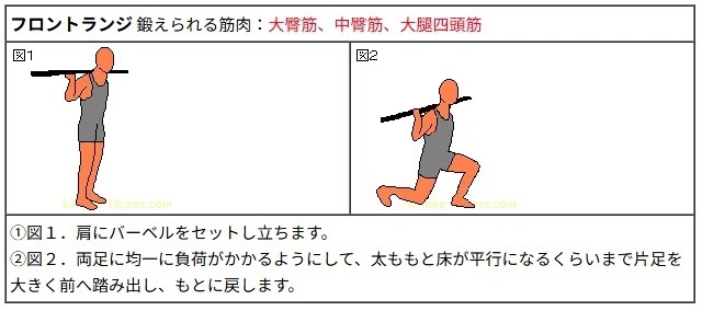 ダンベルより効果的・初心者のバーベルトレーニング｜枡隆太