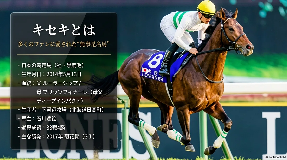 キセキ　17年　菊花賞　現地的中単勝馬券　希少 キセキ ― 多くのファンに愛された“無事是名馬” ―｜ハサミおじさん