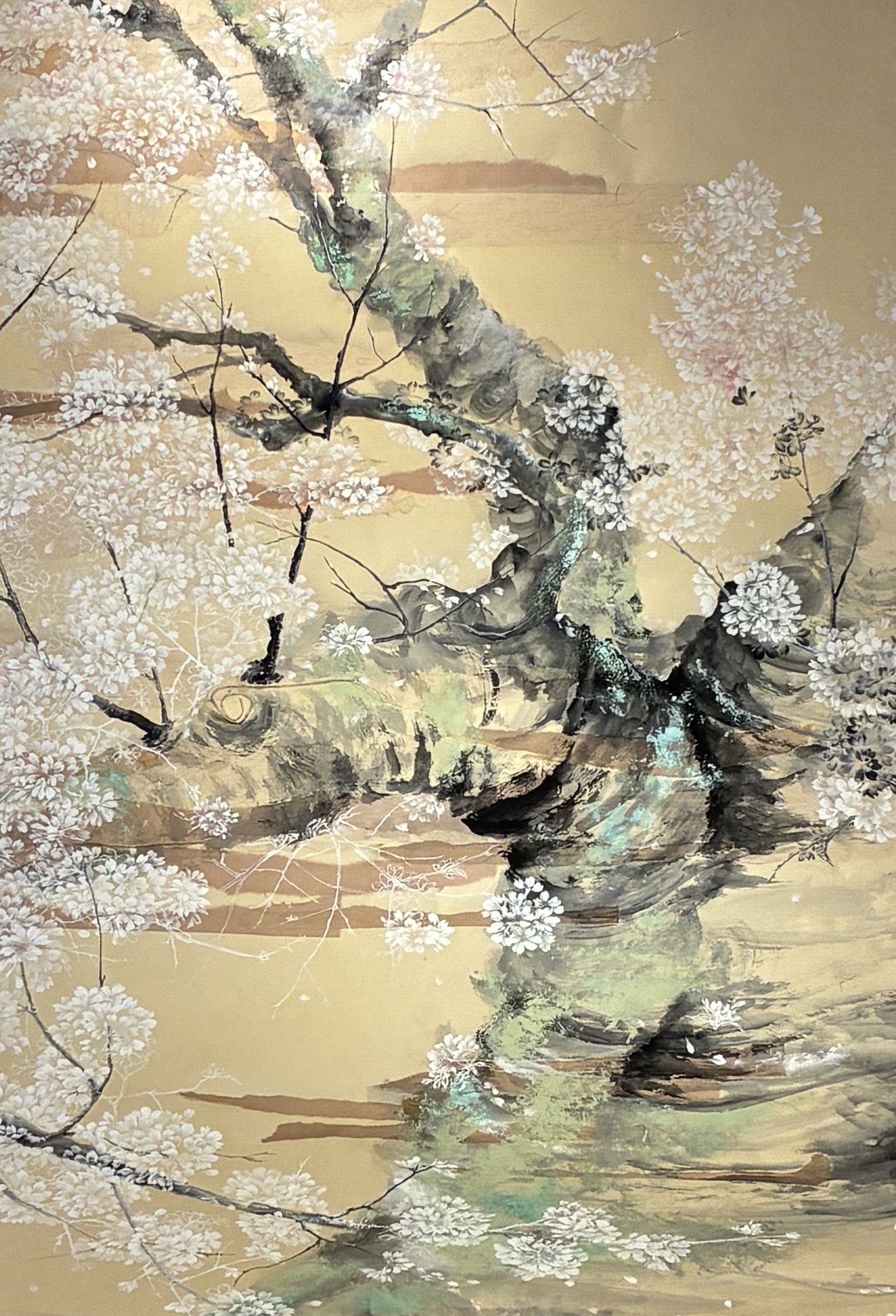 老木の桜に魅了され描いた精魂の一枚 A single piece, drawn with all