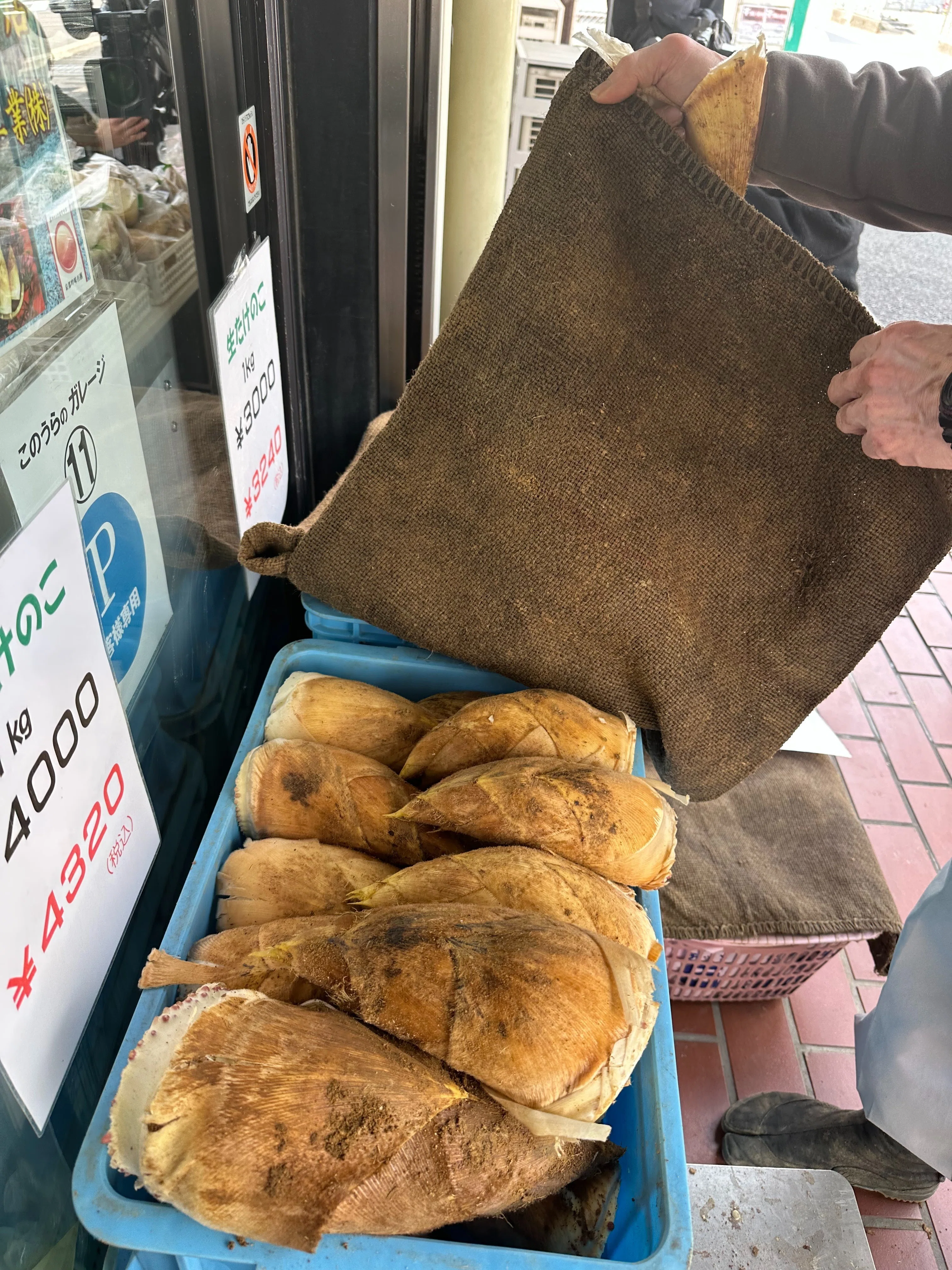 京たけのこ屋さんがお送りする2026年たけのこ速報｜京たけのこ・こめ油