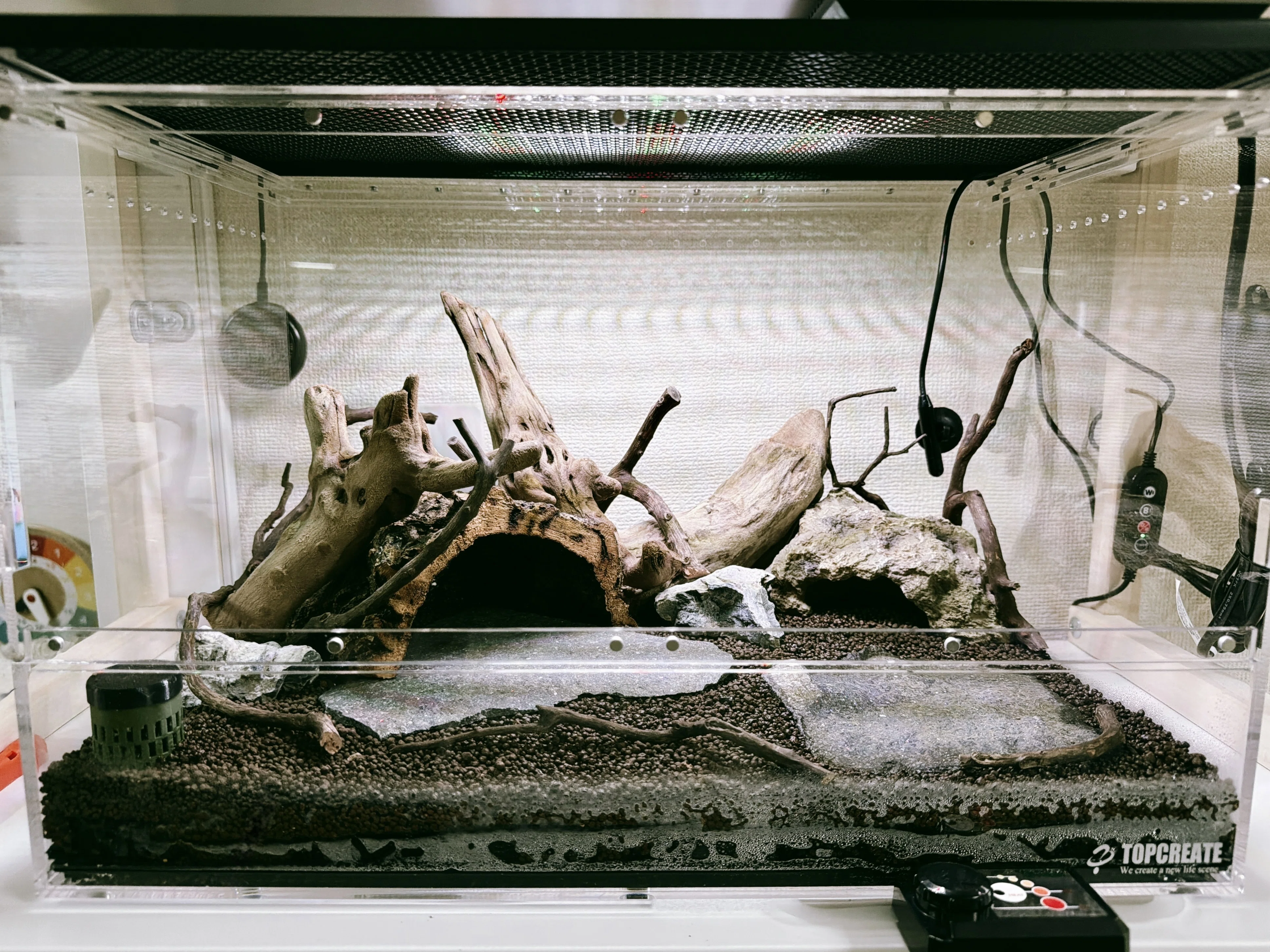 DEZERT 「変」「飼育部屋」 ビバリウム制作日記③】ケージ決定！床材を敷いて、レイアウトまで