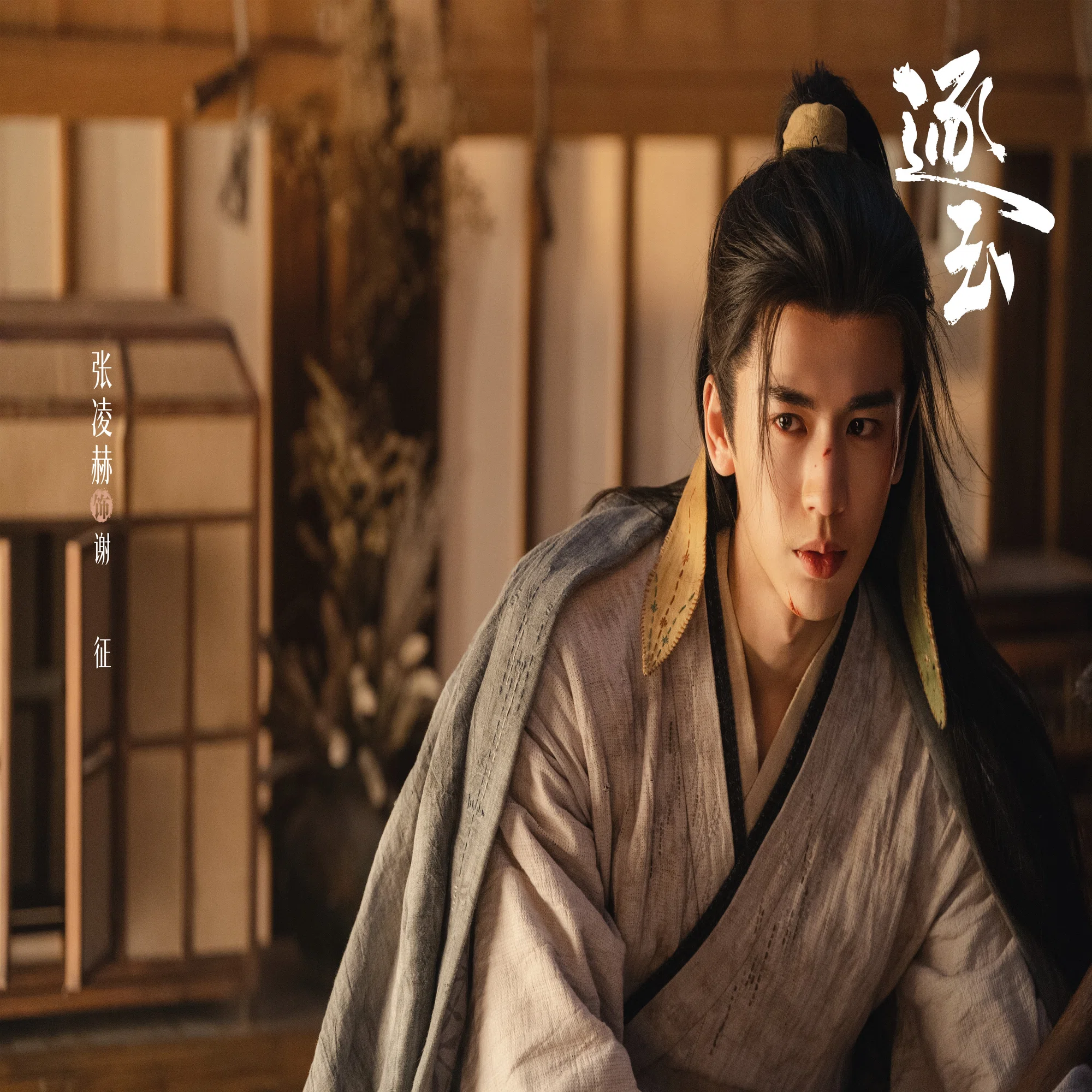 中国ドラマ 『逐玉』 鑑賞記録｜らん?85号