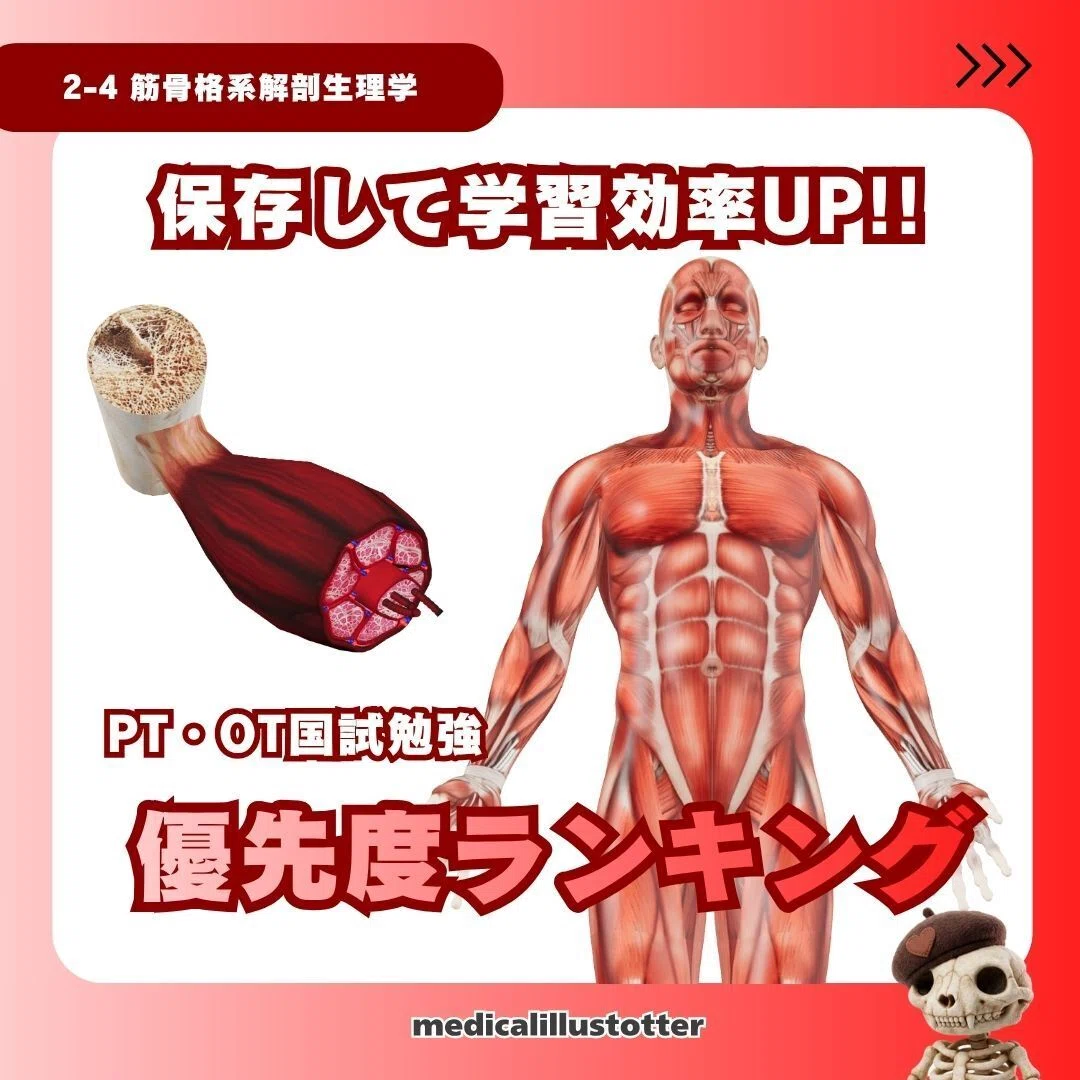 解剖学・運動学・生理学など 商品詳細ページ | メディカルブックセンター
