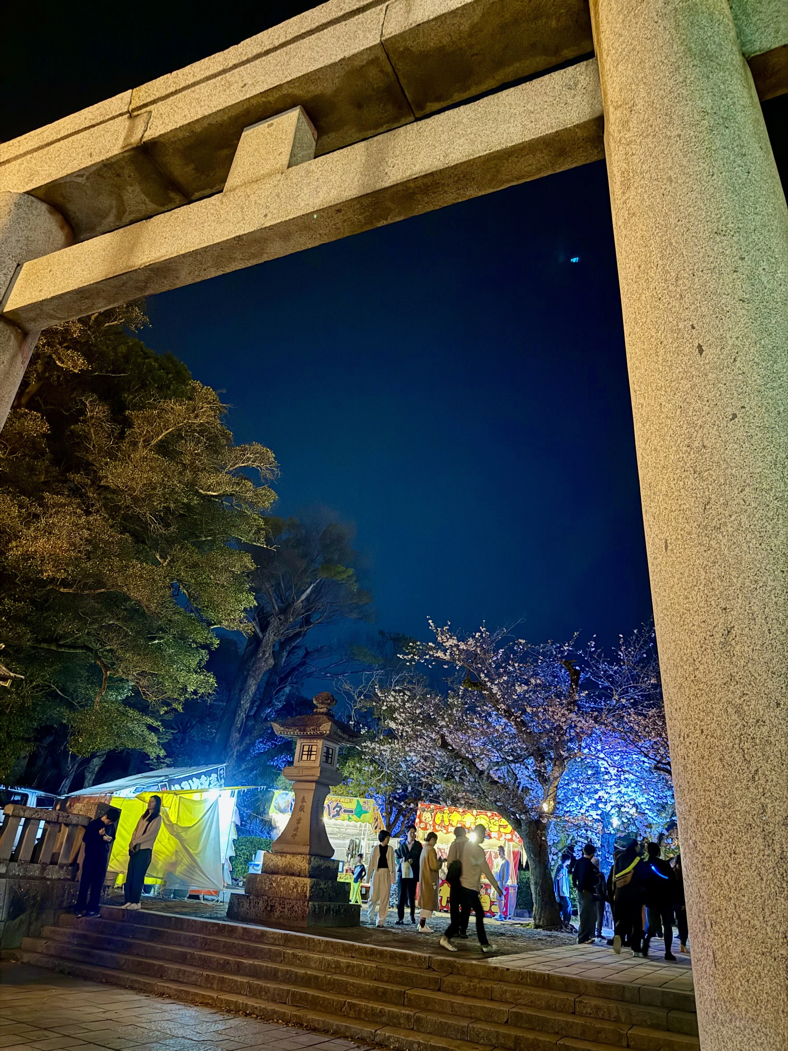 2026.3.29(日) 夜桜が綺麗だった✨｜あずまっくすCEO