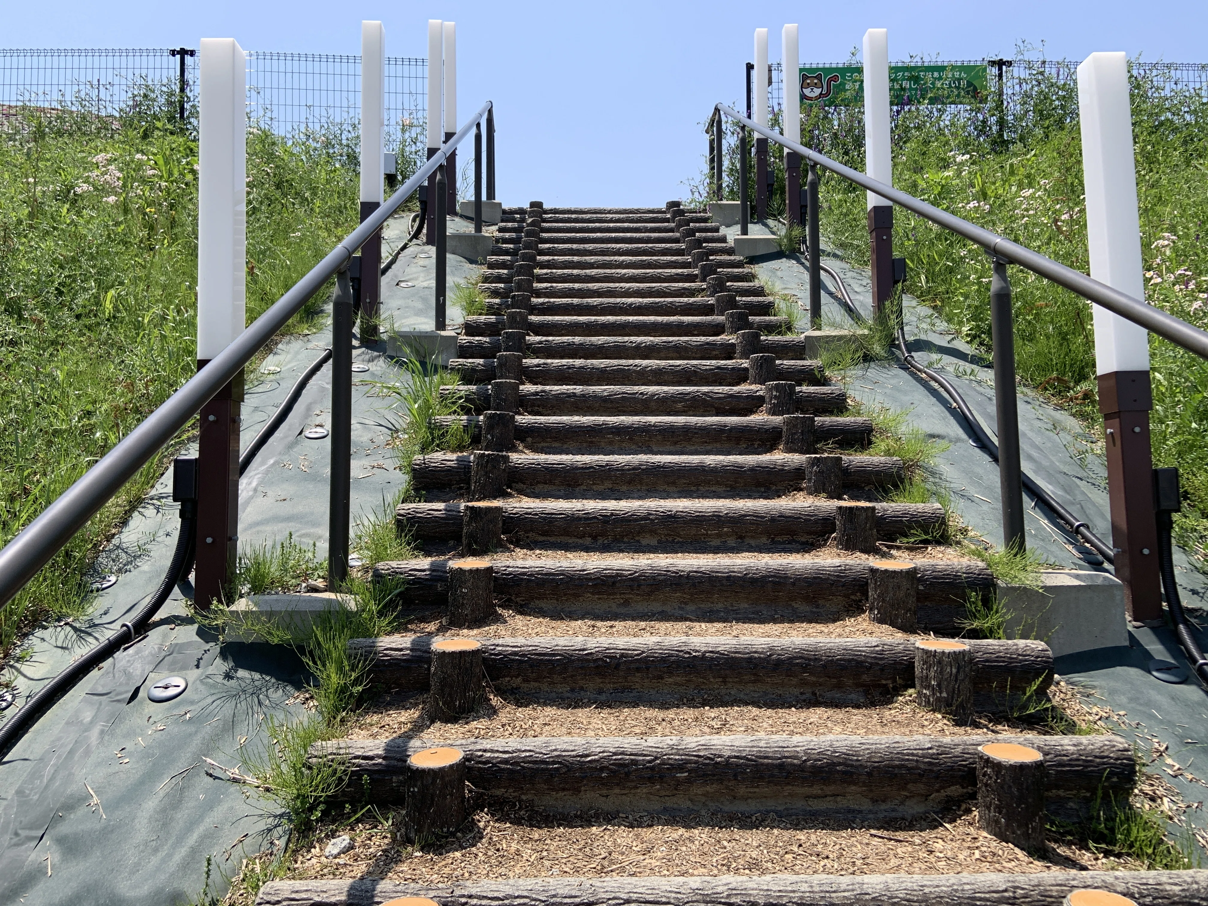 幸せの見つけ方 青森県六戸町】幸福の苗を探せ！Discovery ｜青森県六戸町or自宅で