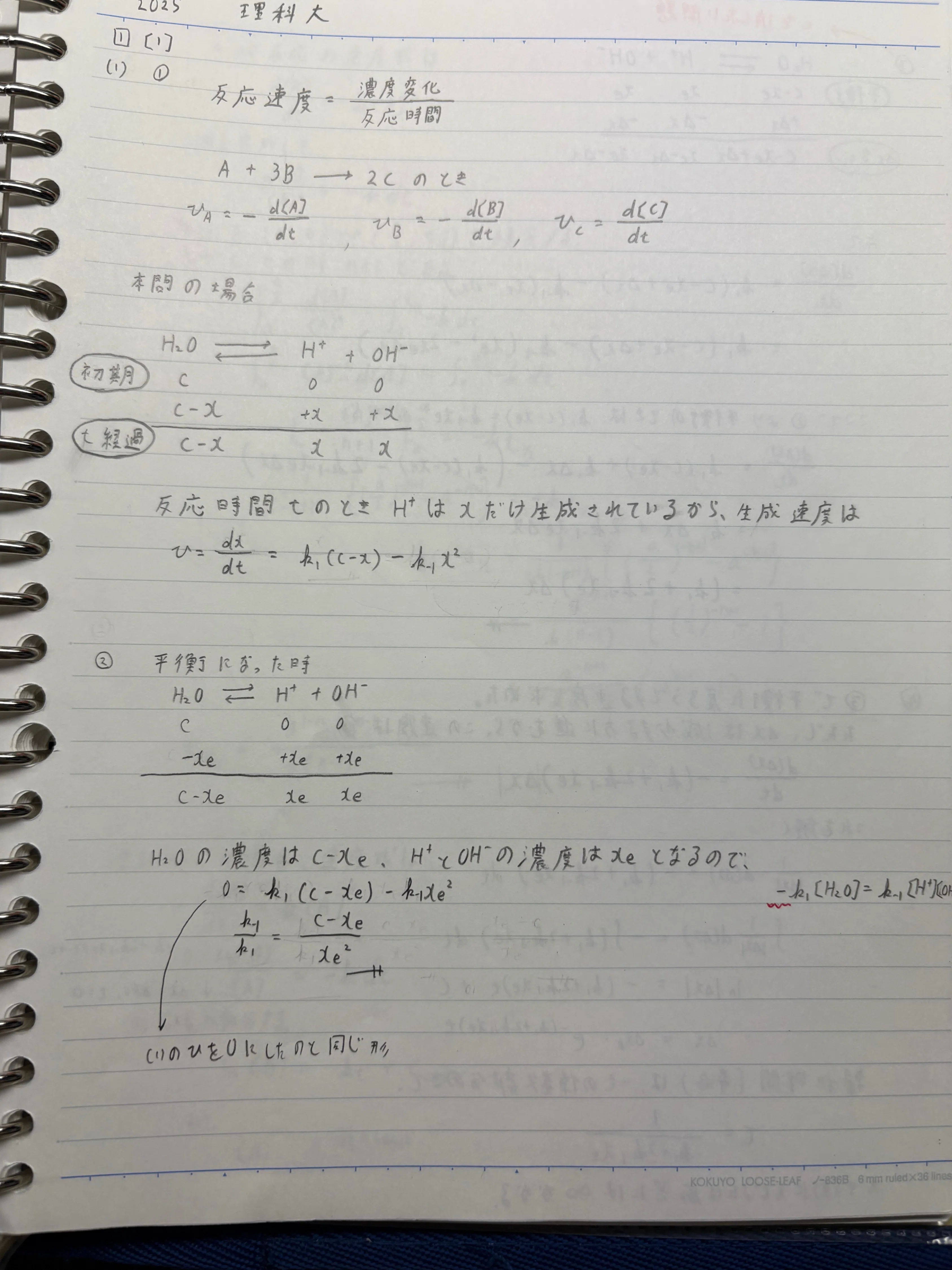 京大理学研究科物理 院試解答例 H17~R6(20年分) 志望理由・レポート付き 京大理学研究科物理 院試解答例 H17~R6(20年分) 志望理由・レポート