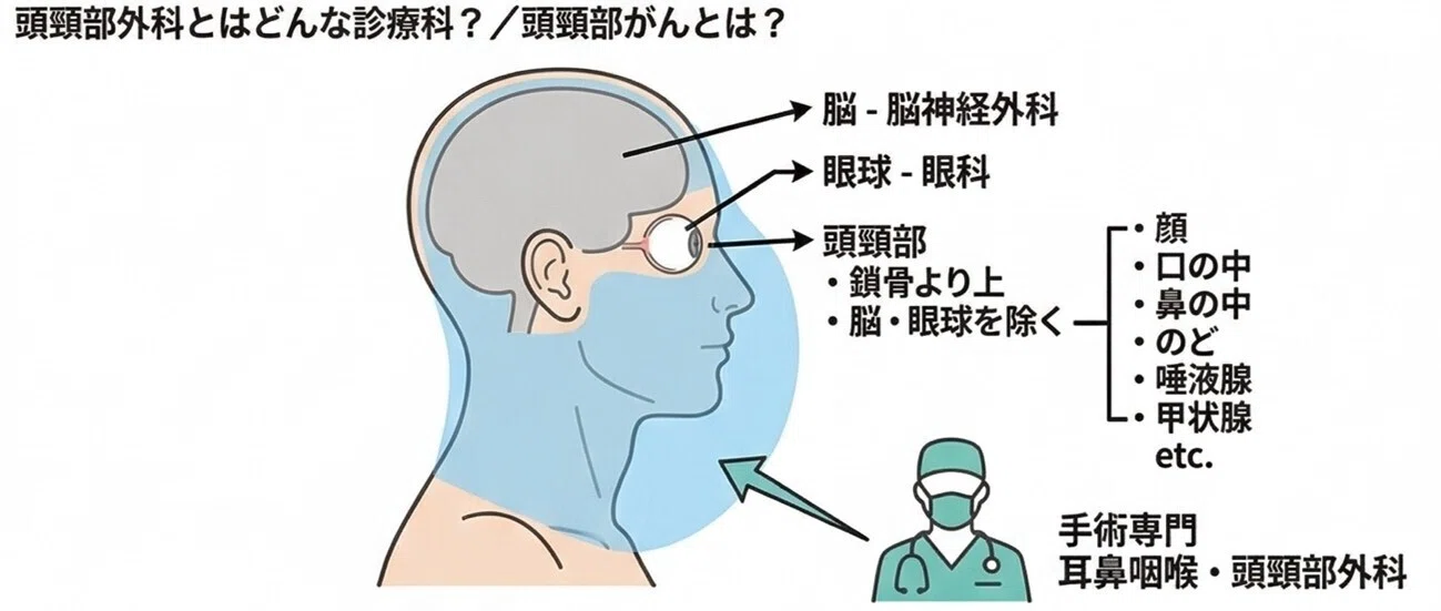 頭頸部外科診療に役立つ 頭頸部管腔構造の理解 頭頸部外科診療に役立つ 頭頸部管腔構造の理解 | 西嶌 渡 |本 | 通販