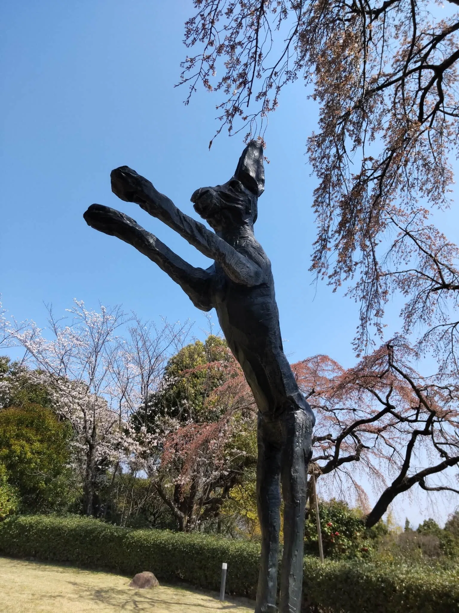 大山崎から跳んできた野うさぎ｜Rambouillet