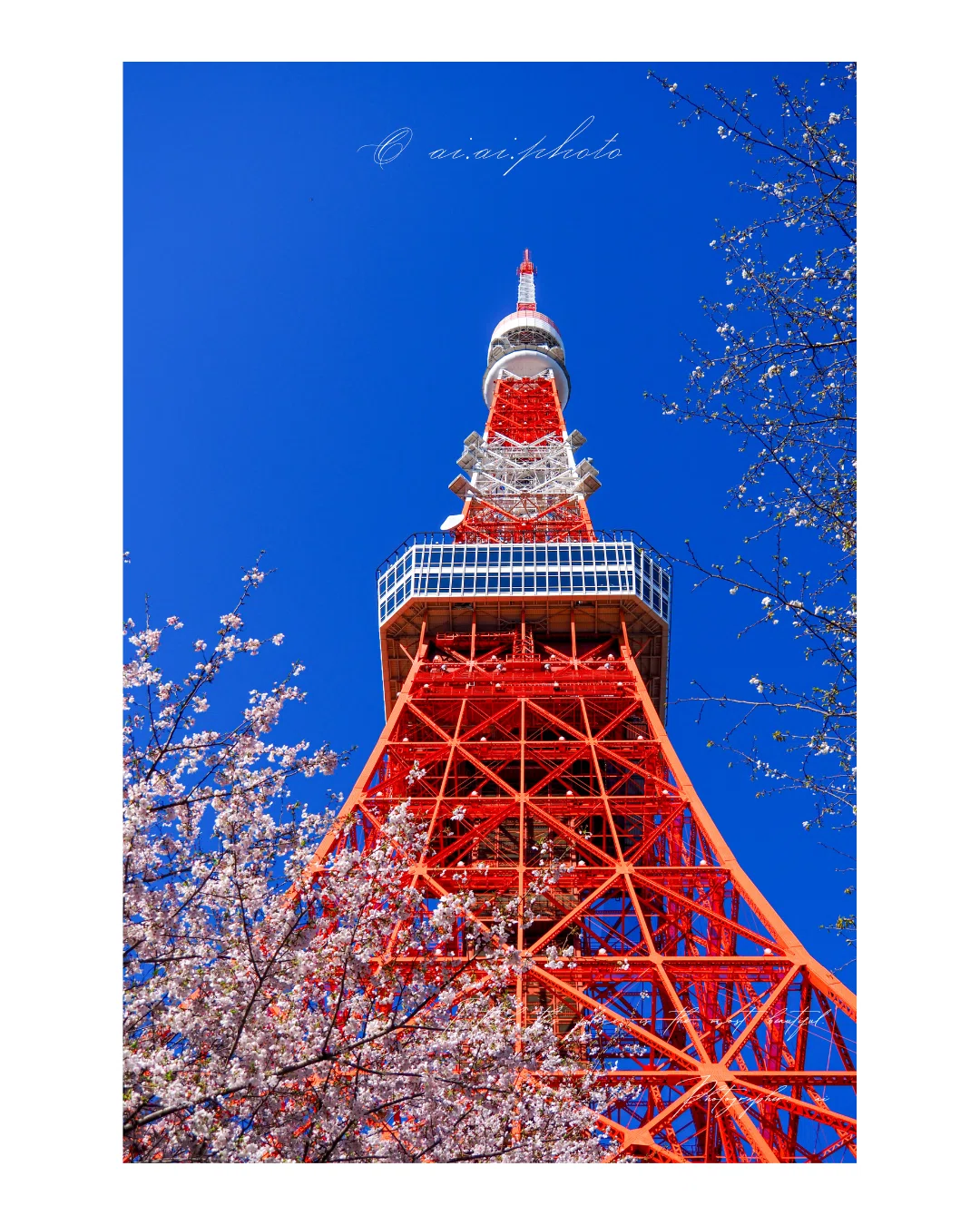 カメラの楽しみ方】桜咲く東京タワー周辺のスナップ写真✨OM5-MarkII14