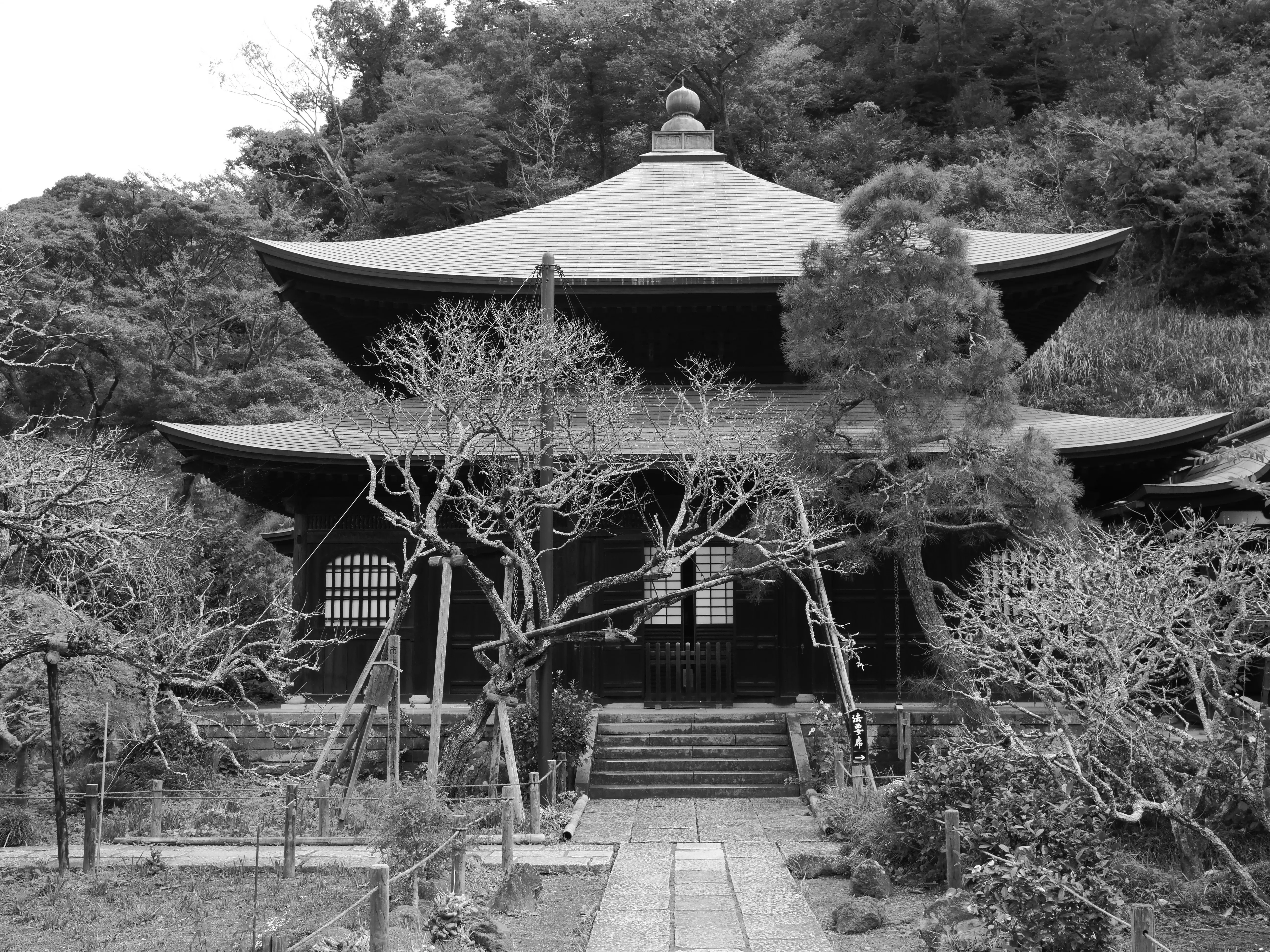 【中古】 瑞泉寺史 瑞泉寺｜踏架 Wait for a breeze