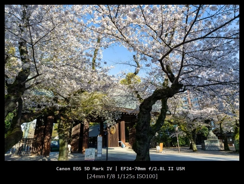 久しぶりにCanonの一眼レフ 『EOS 5D Mark IV』を持ち出した｜千鳥ヶ淵