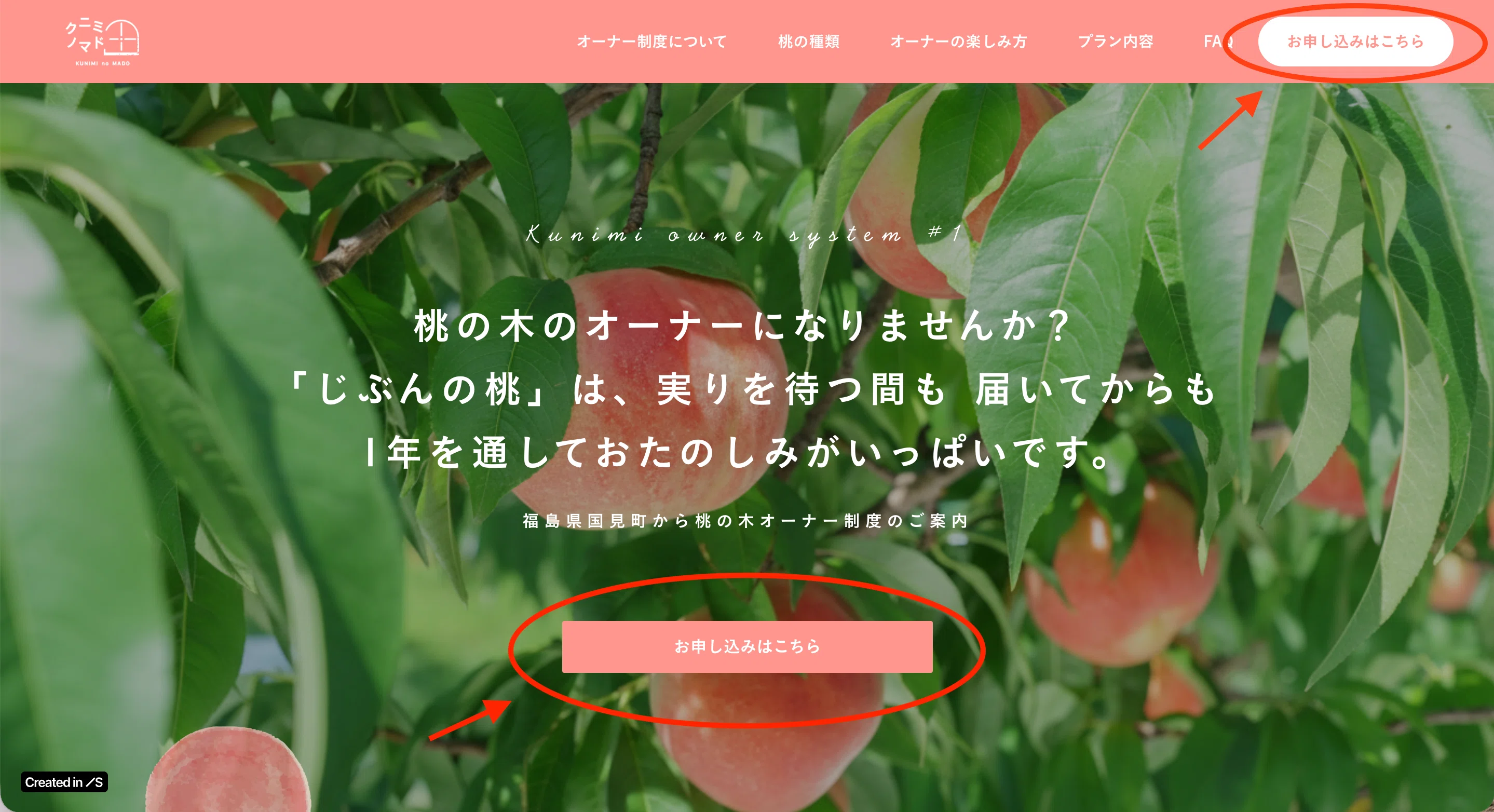 桃/りんごの木オーナー制度の申込方法・やり方についてご紹介