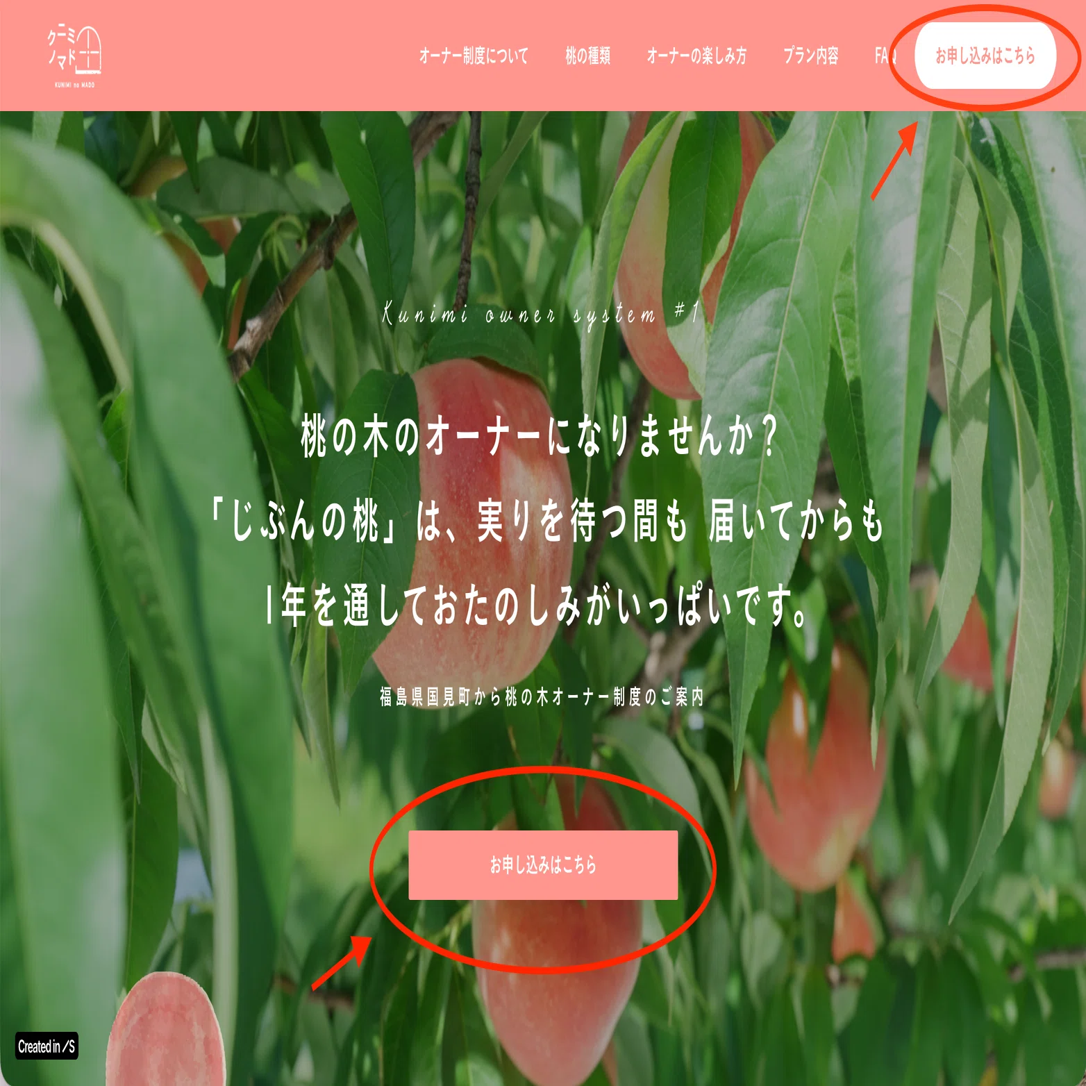 桃/りんごの木オーナー制度の申込方法・やり方についてご紹介