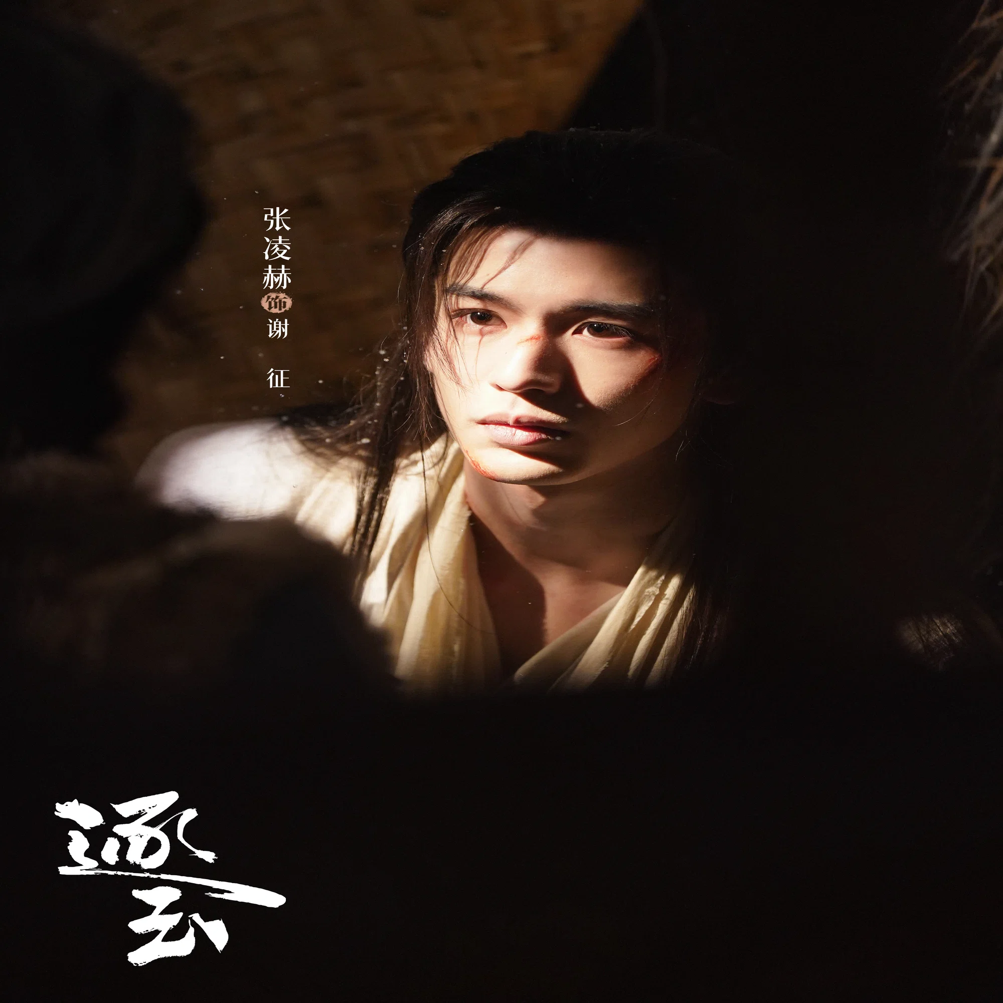 中国ドラマ 『逐玉』 鑑賞記録｜らん?85号