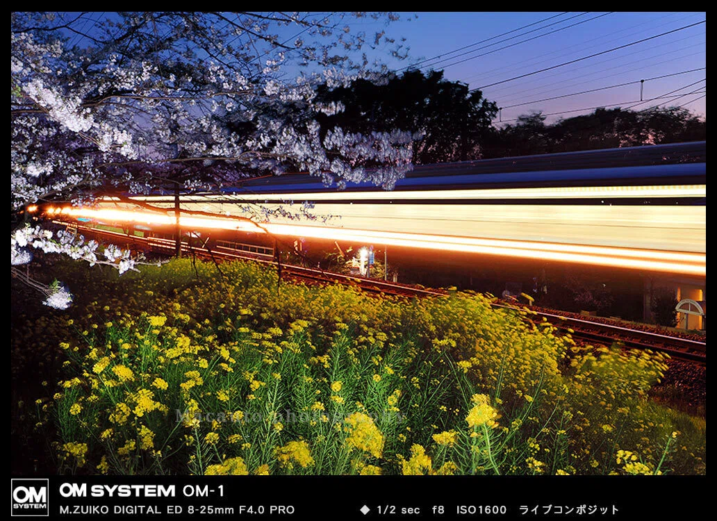 西武多摩川線 ～ 2026年最後の夜桜｜Macauto